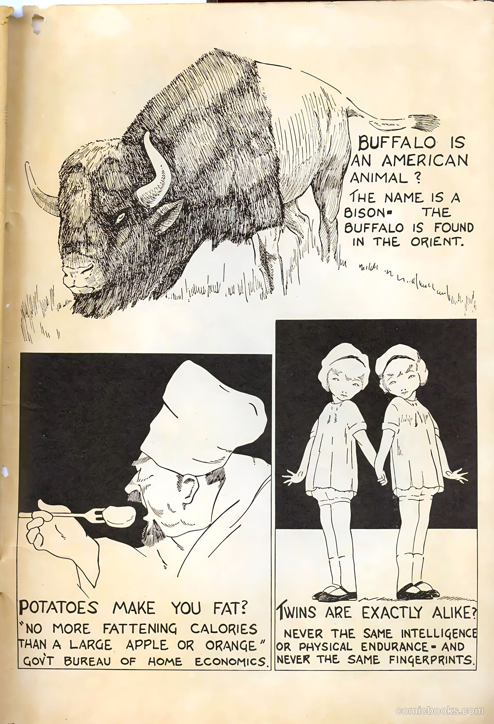 Zoo Funnies v1 #5 — page 51 of 52