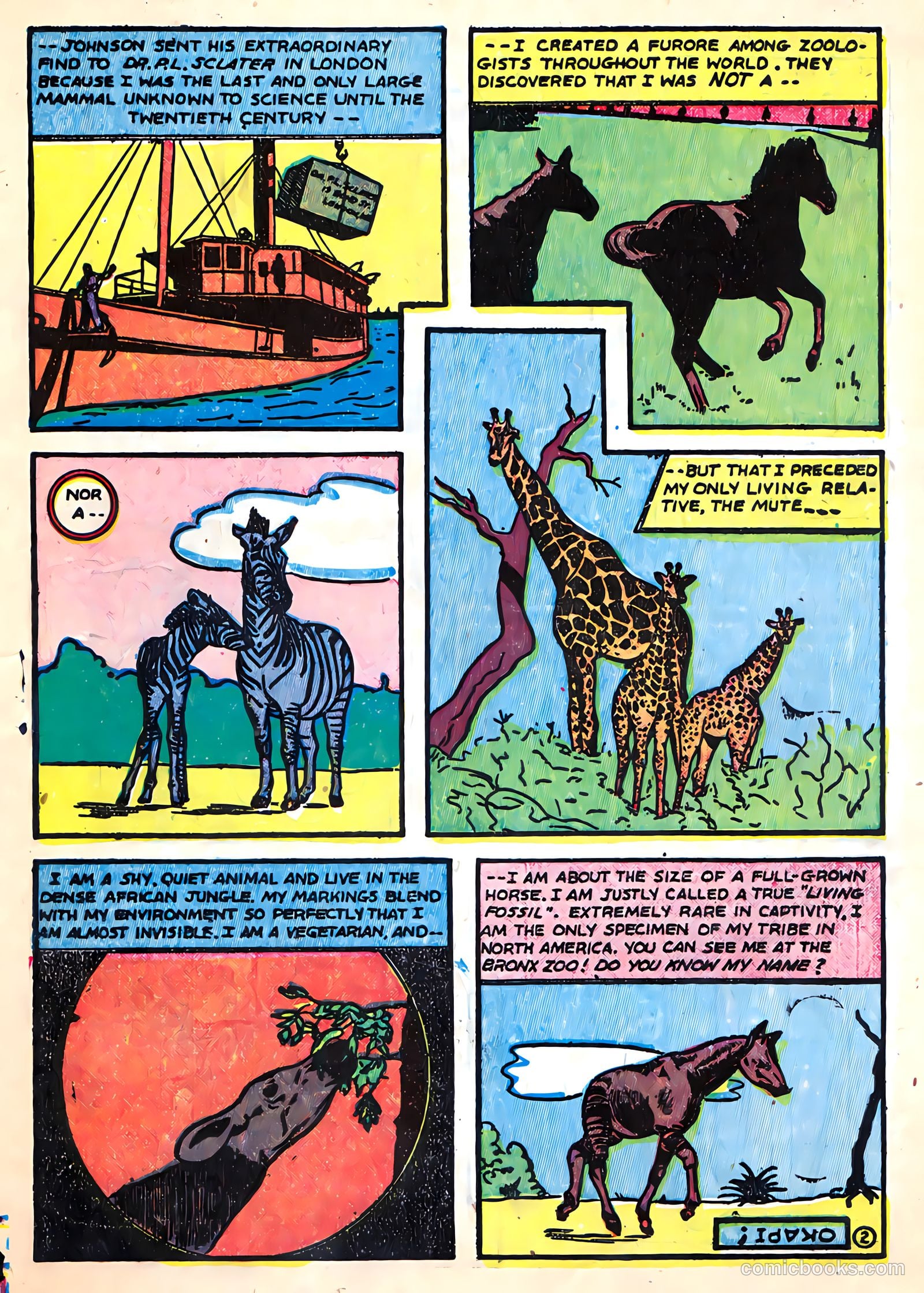 Zoo Funnies v1 #1 — page 19 of 52