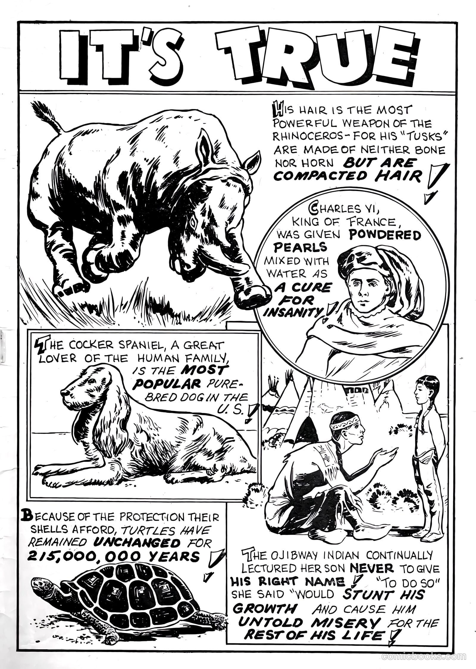 Zoo Funnies v1 #1 — page 51 of 52