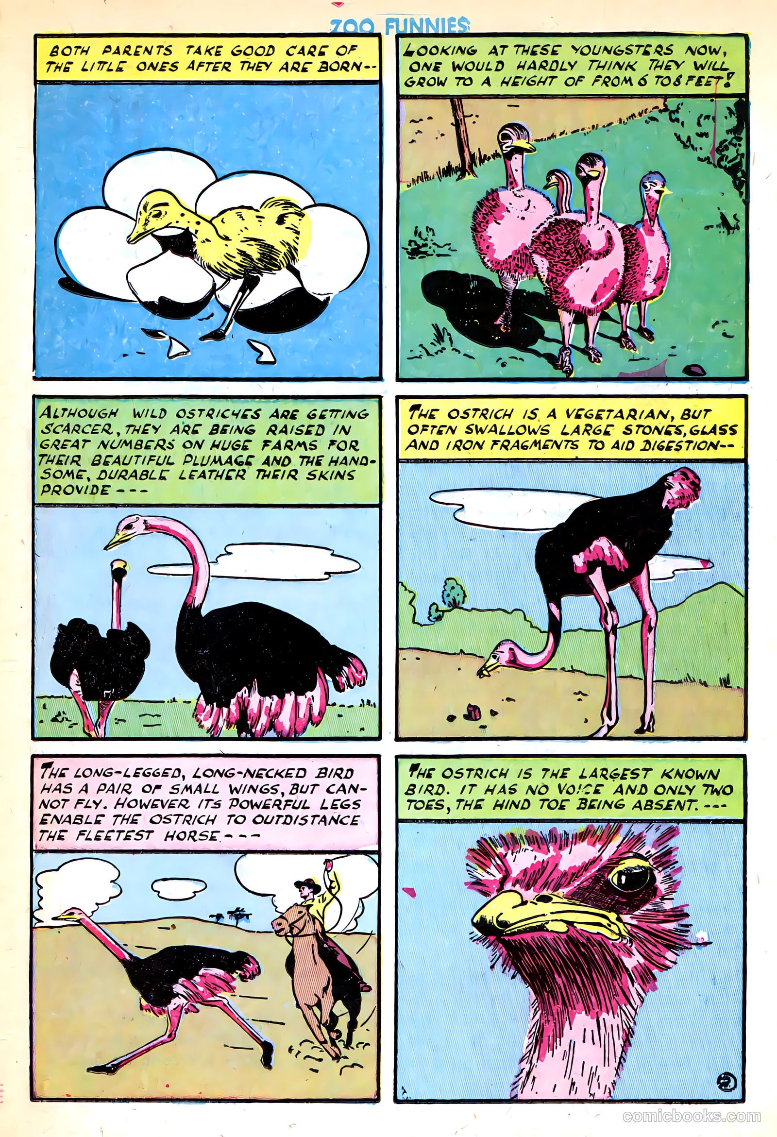 Zoo Funnies v1 #4 — page 23 of 52