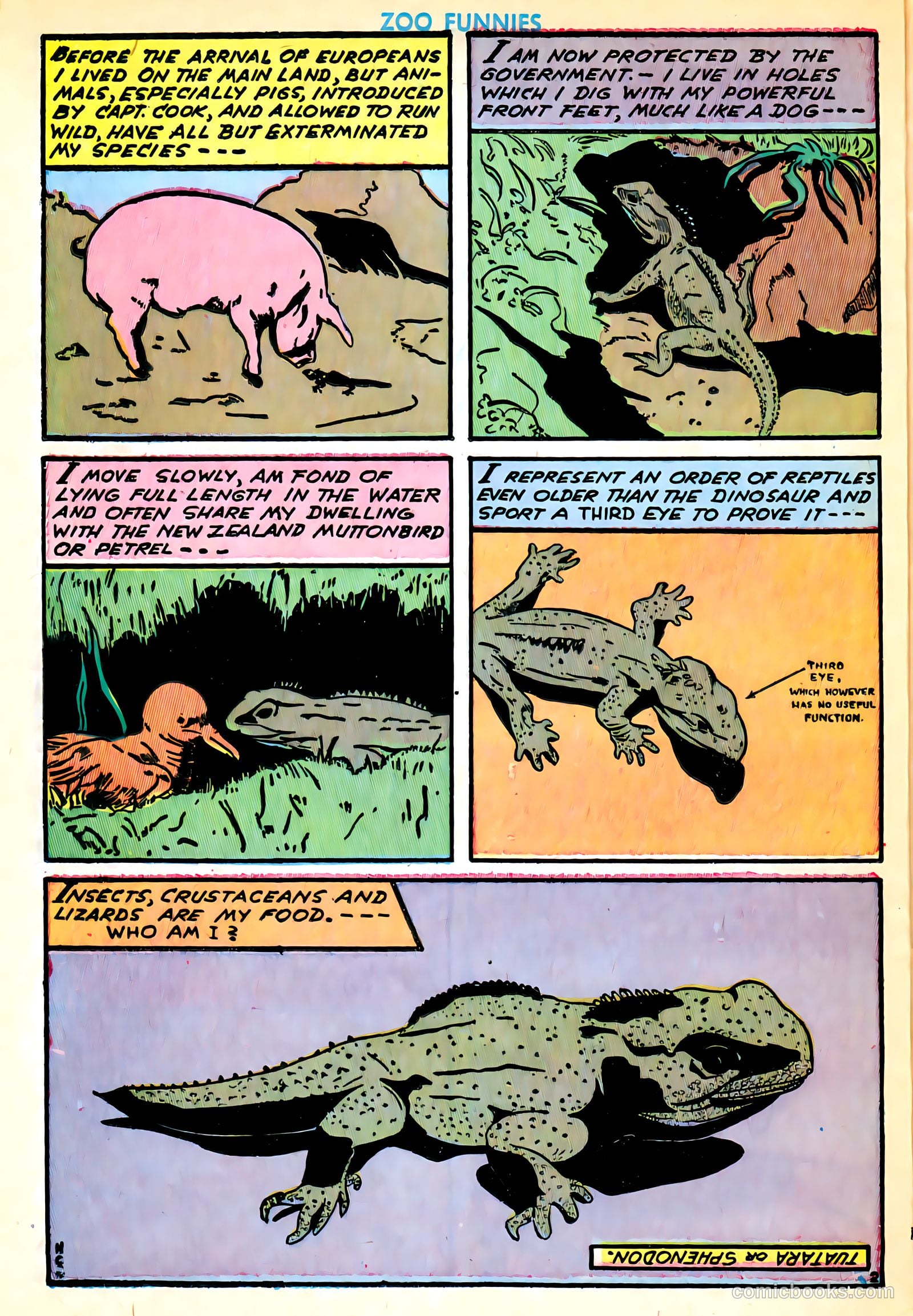 Zoo Funnies v1 #4 — page 34 of 52