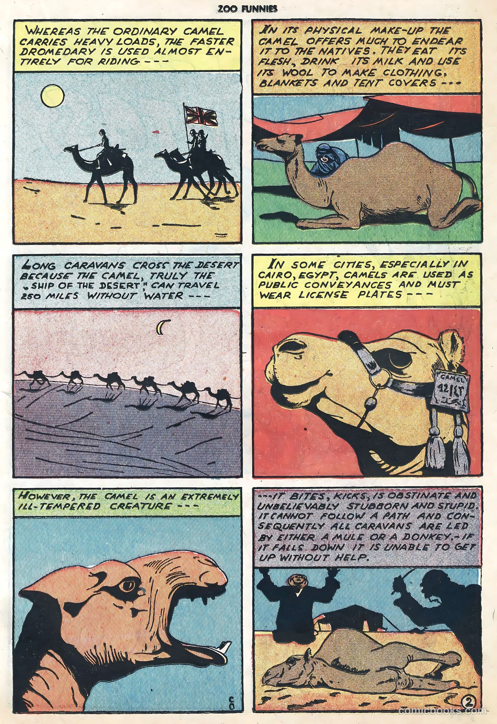 Zoo Funnies v1 #6 — page 17 of 52