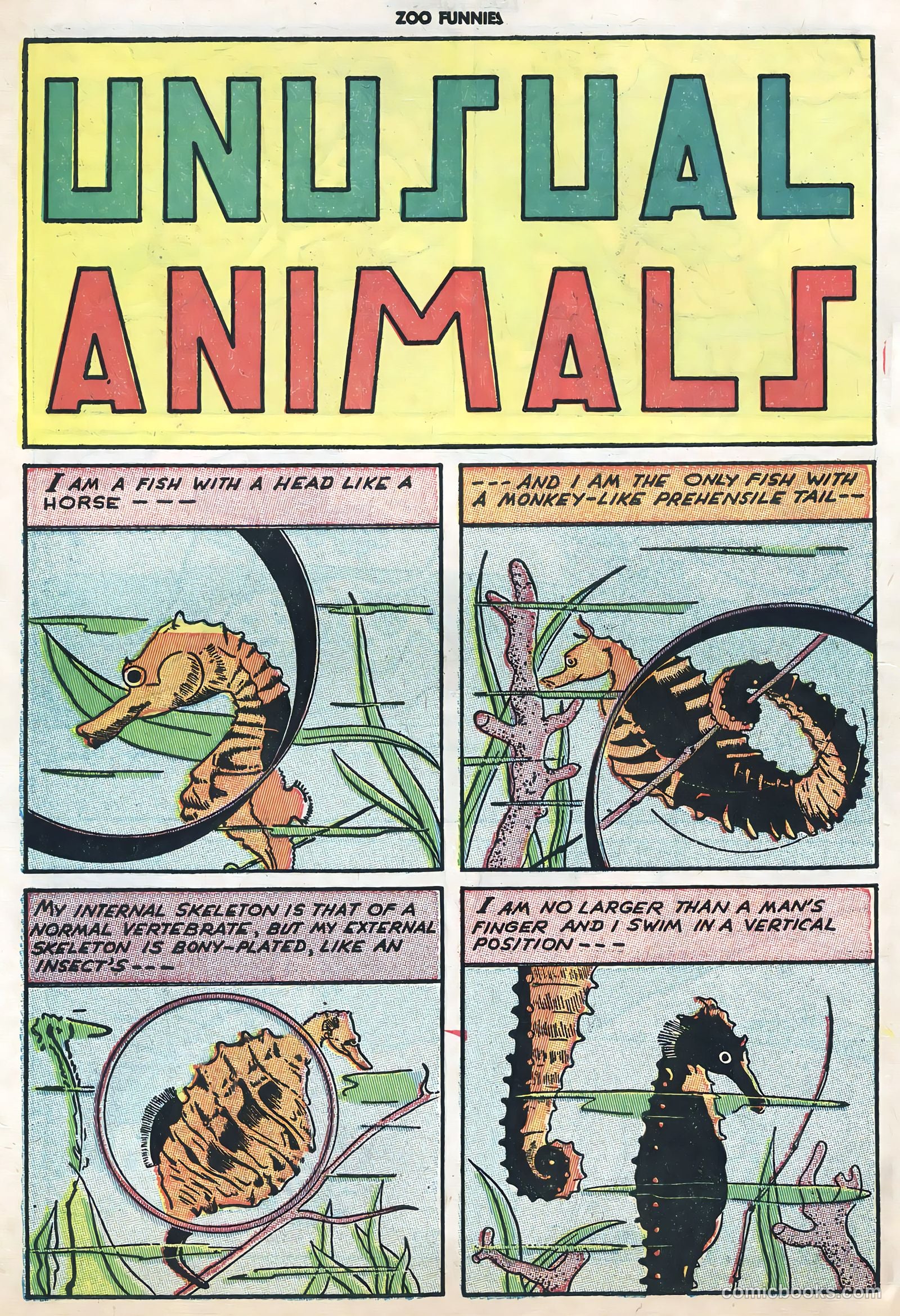 Zoo Funnies v1 #6 — page 40 of 52
