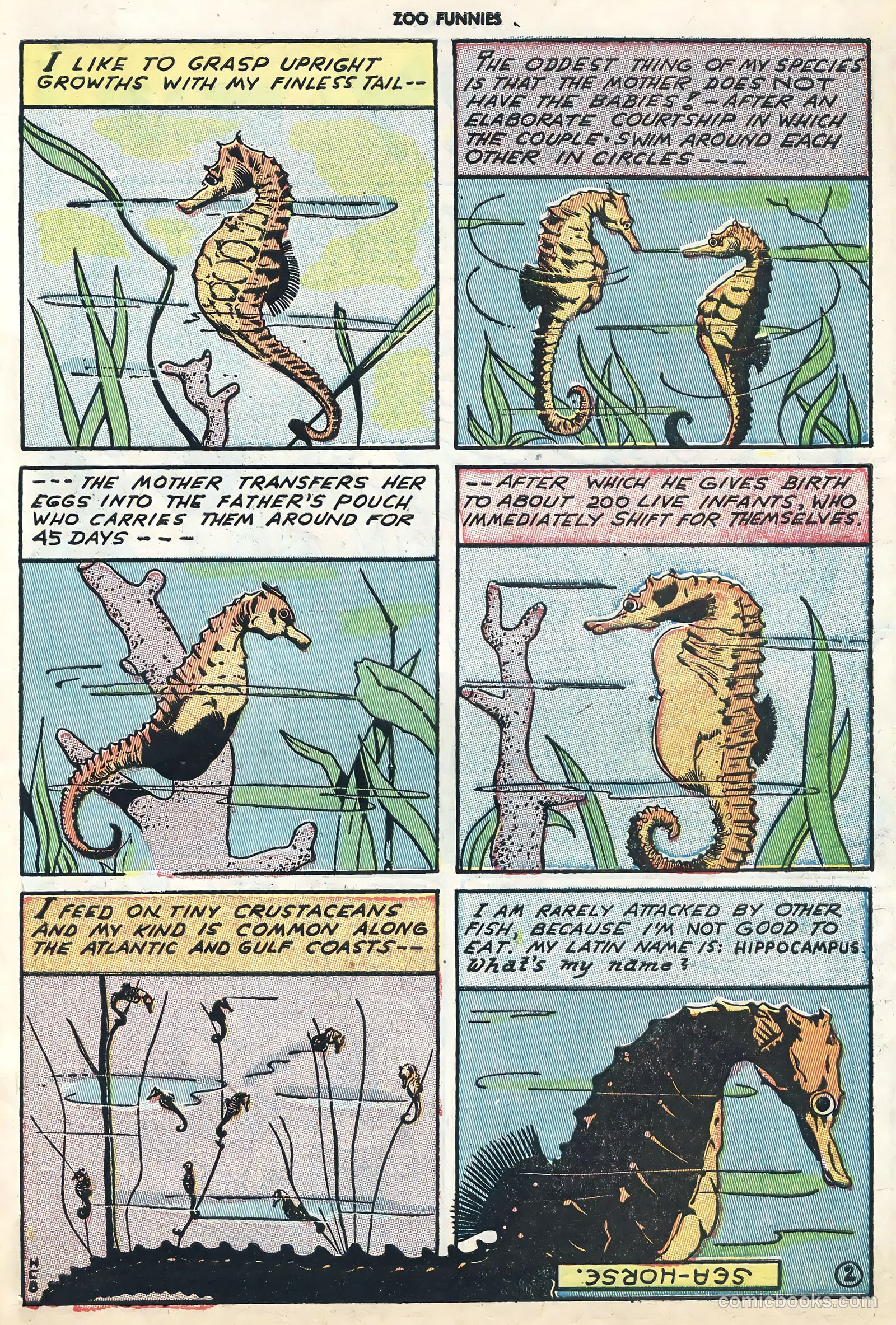 Zoo Funnies v1 #6 — page 41 of 52