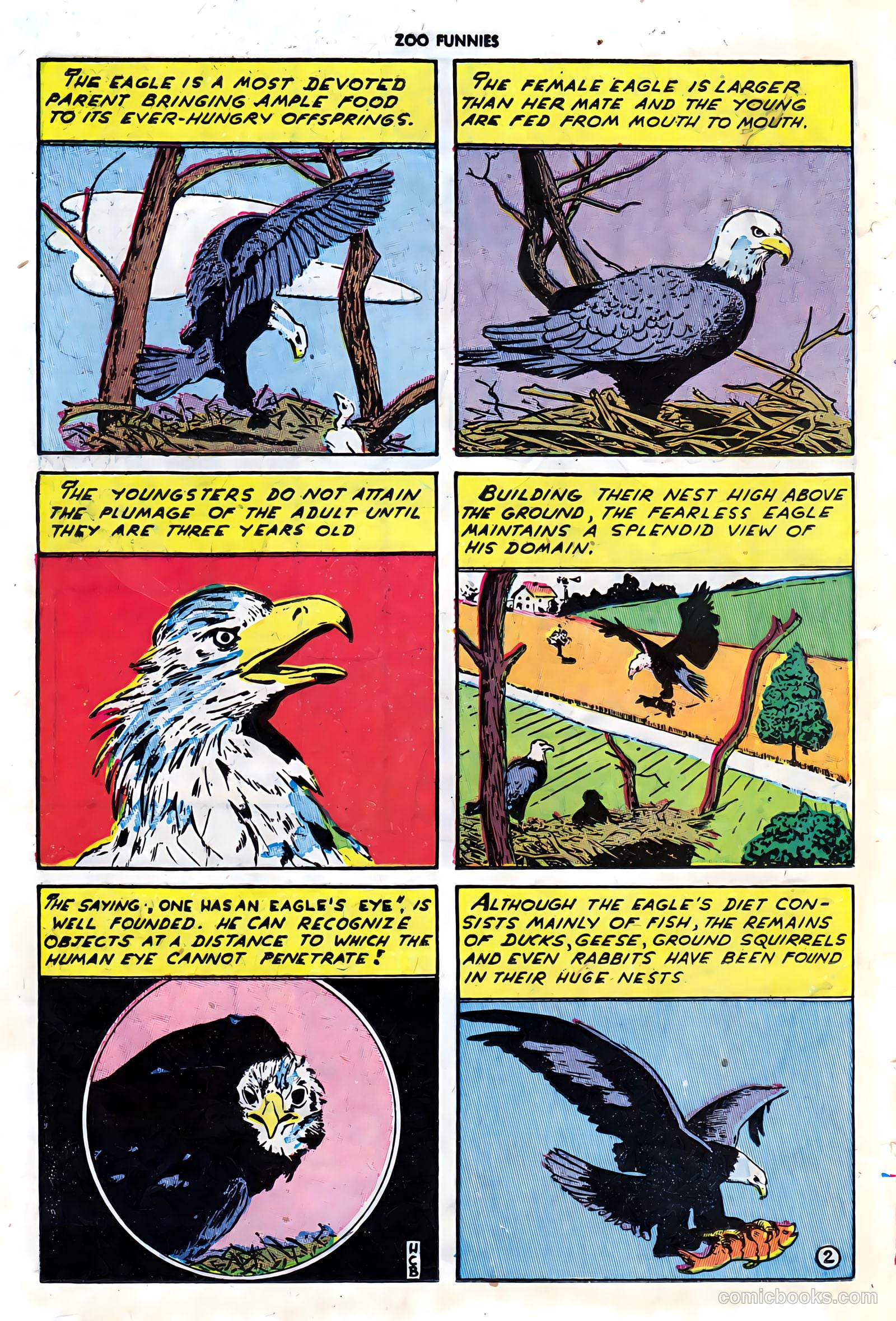 Zoo Funnies v1 #7 — page 24 of 52