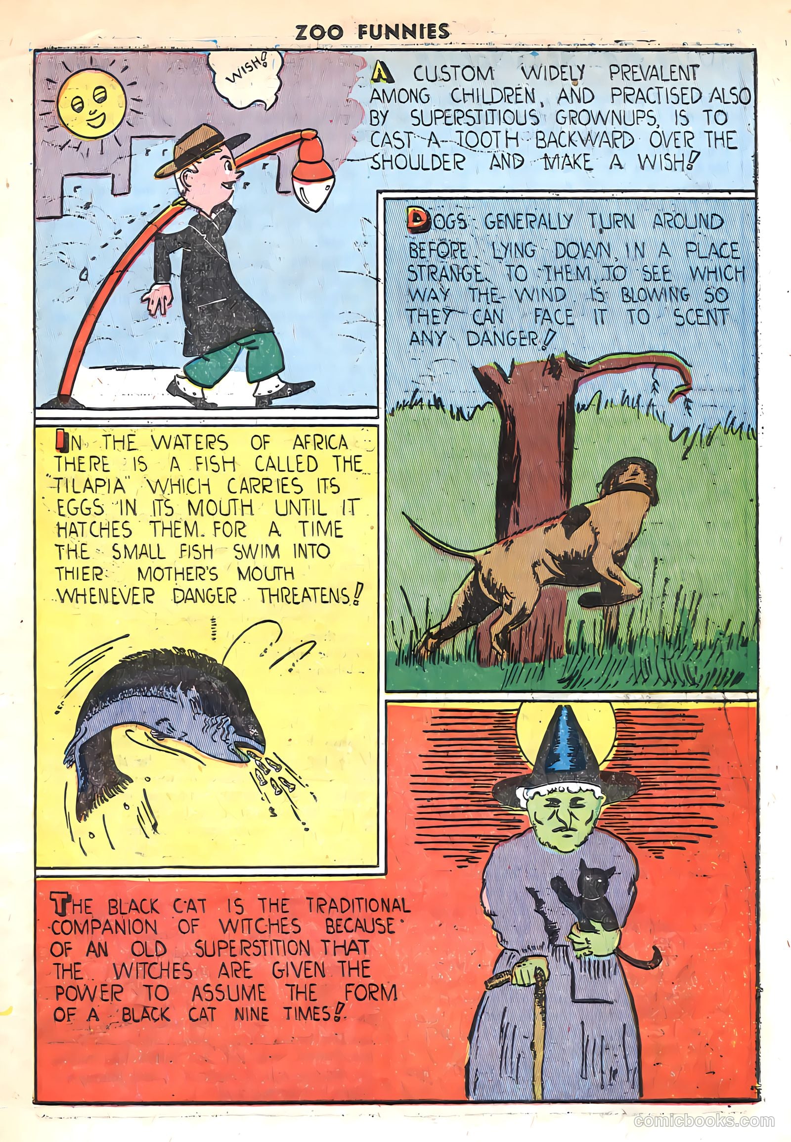 Zoo Funnies v1 #13 — page 17 of 36