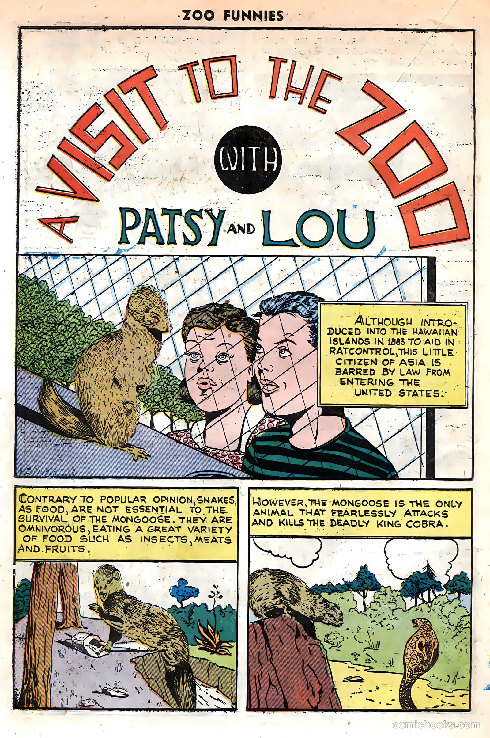 Zoo Funnies v1 #13 — page 20 of 36