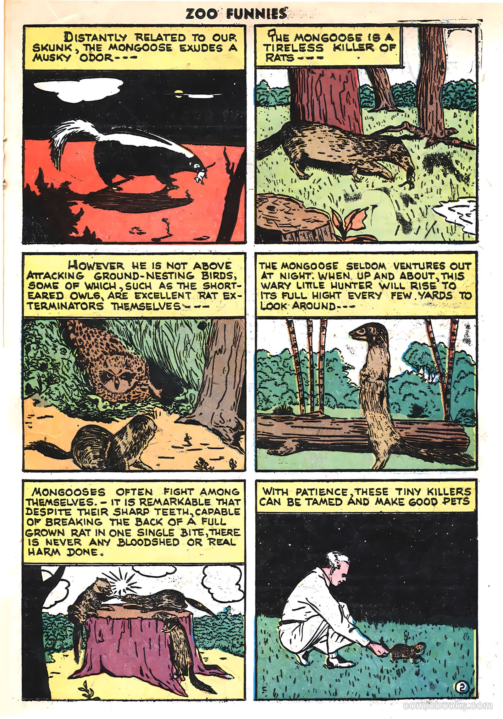 Zoo Funnies v1 #13 — page 21 of 36