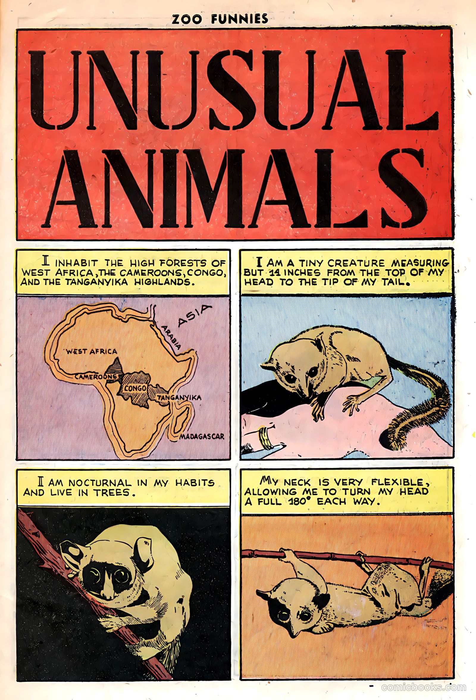 Zoo Funnies v1 #13 — page 27 of 36