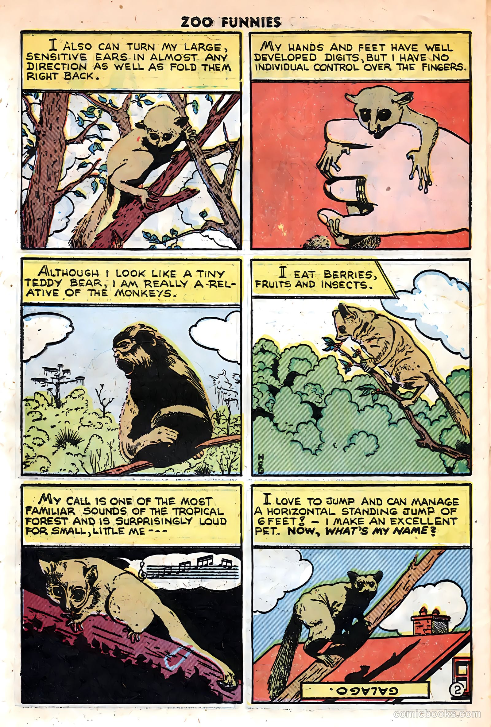 Zoo Funnies v1 #13 — page 28 of 36