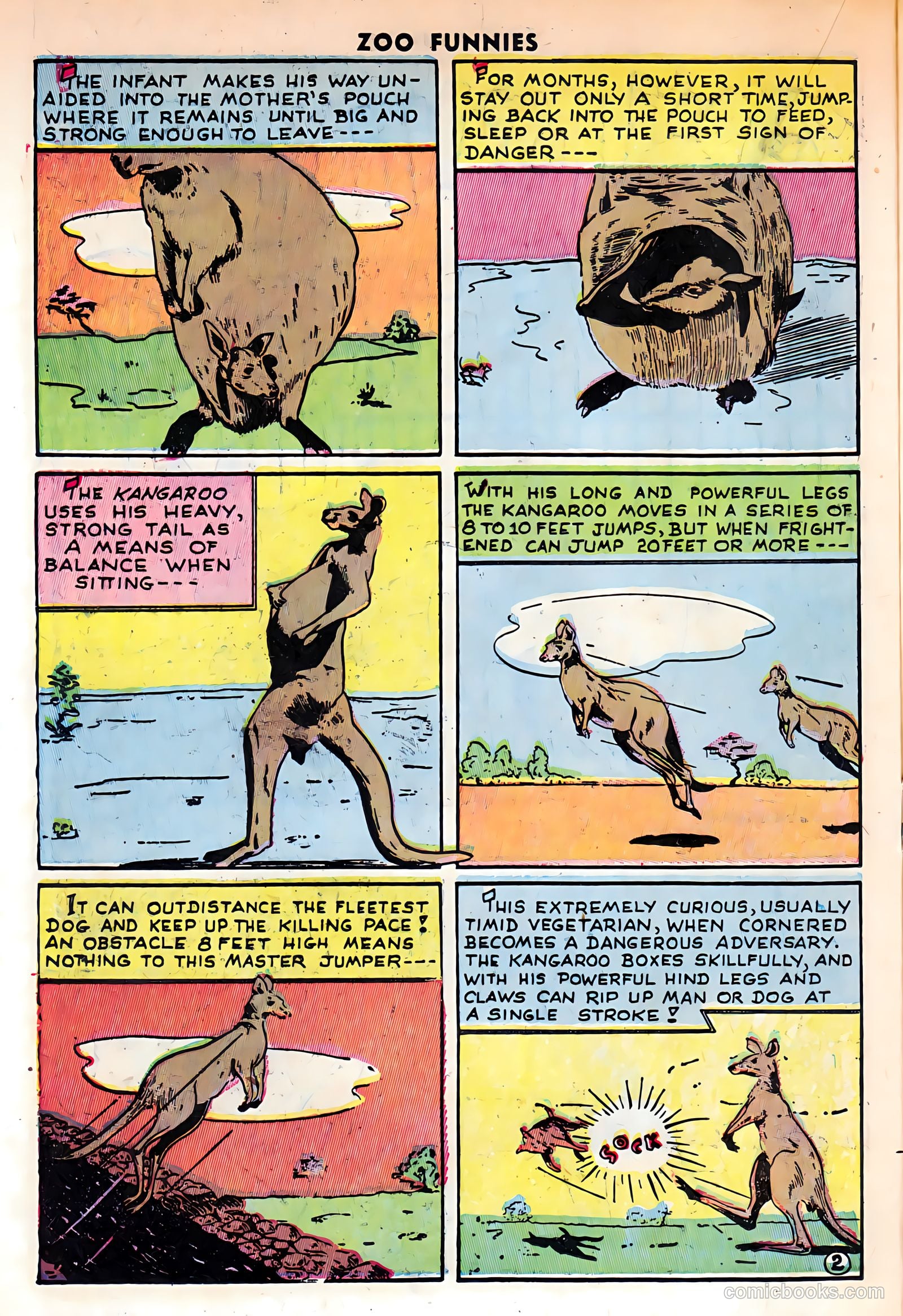 Zoo Funnies v1 #9 — page 24 of 52