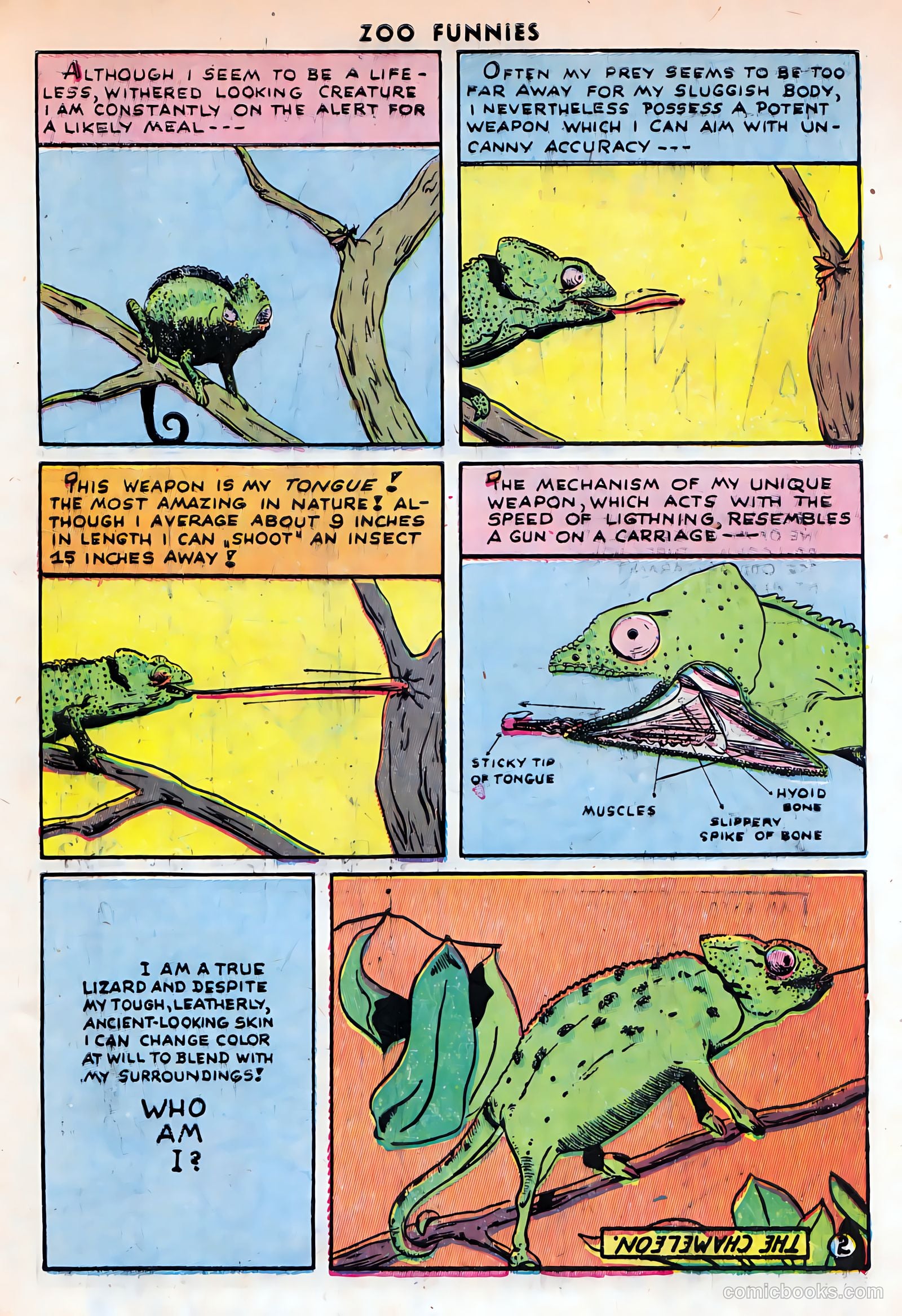 Zoo Funnies v1 #9 — page 39 of 52