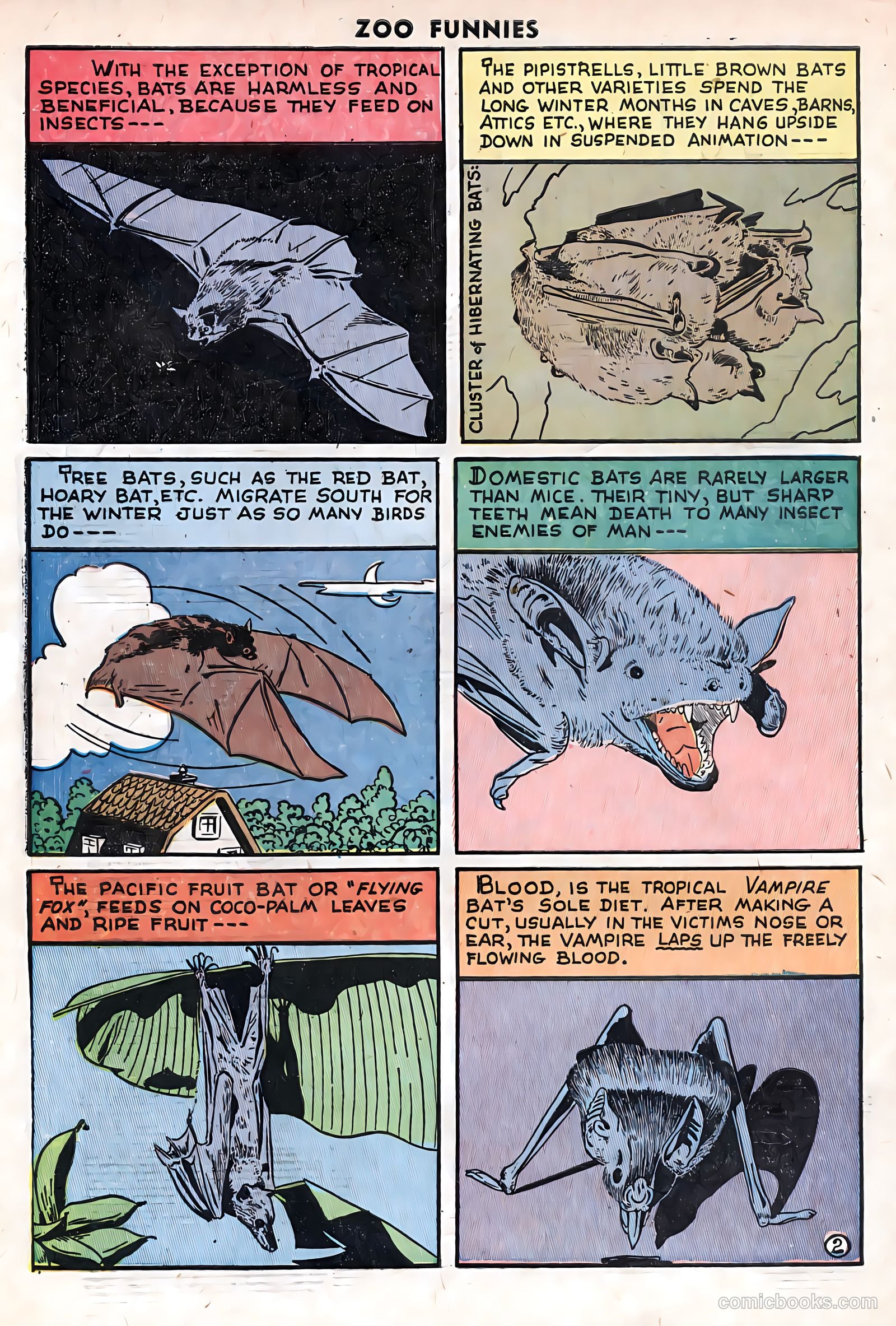 Zoo Funnies v1 #11 — page 34 of 36