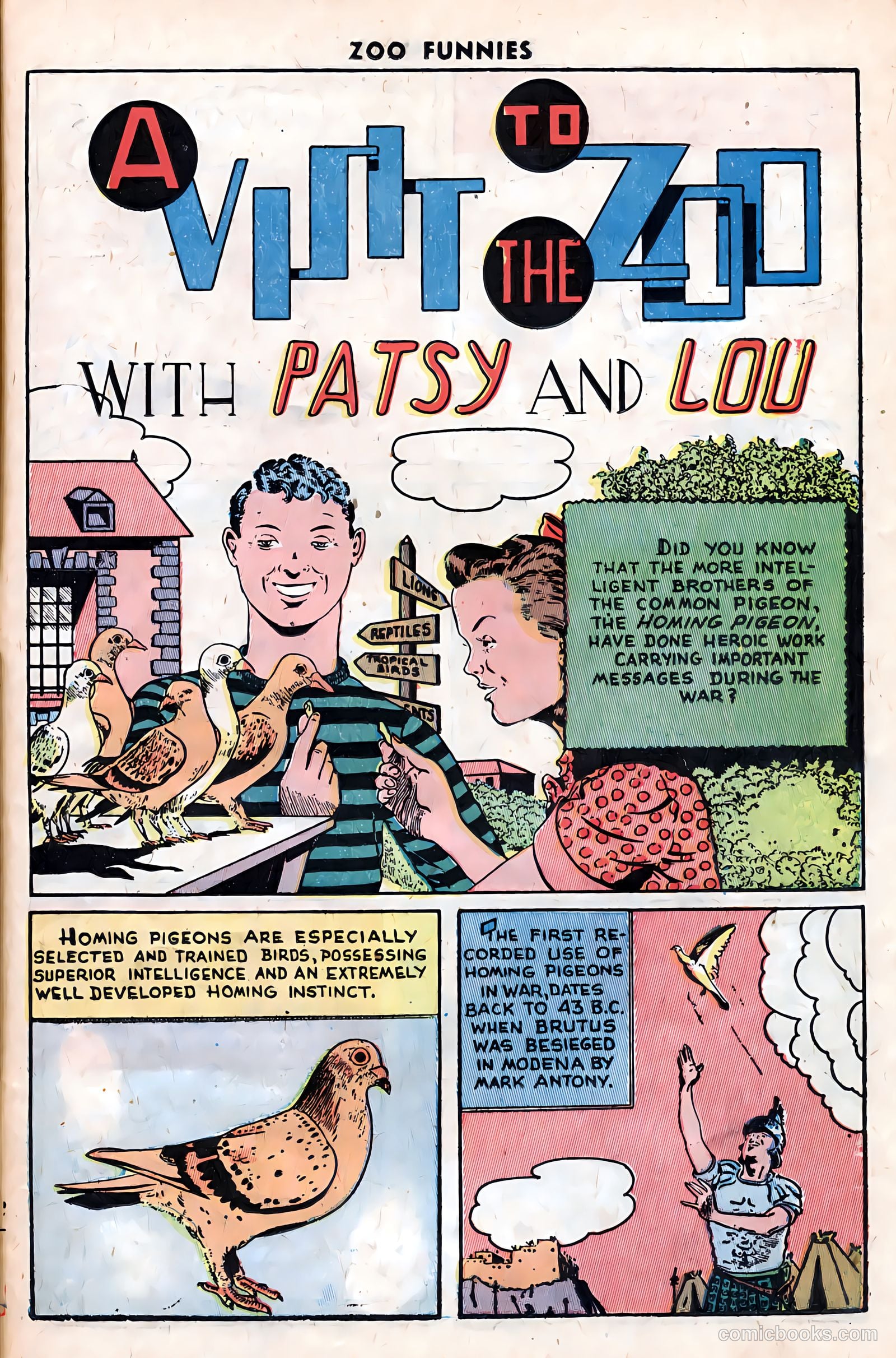 Zoo Funnies v1 #12 — page 25 of 36