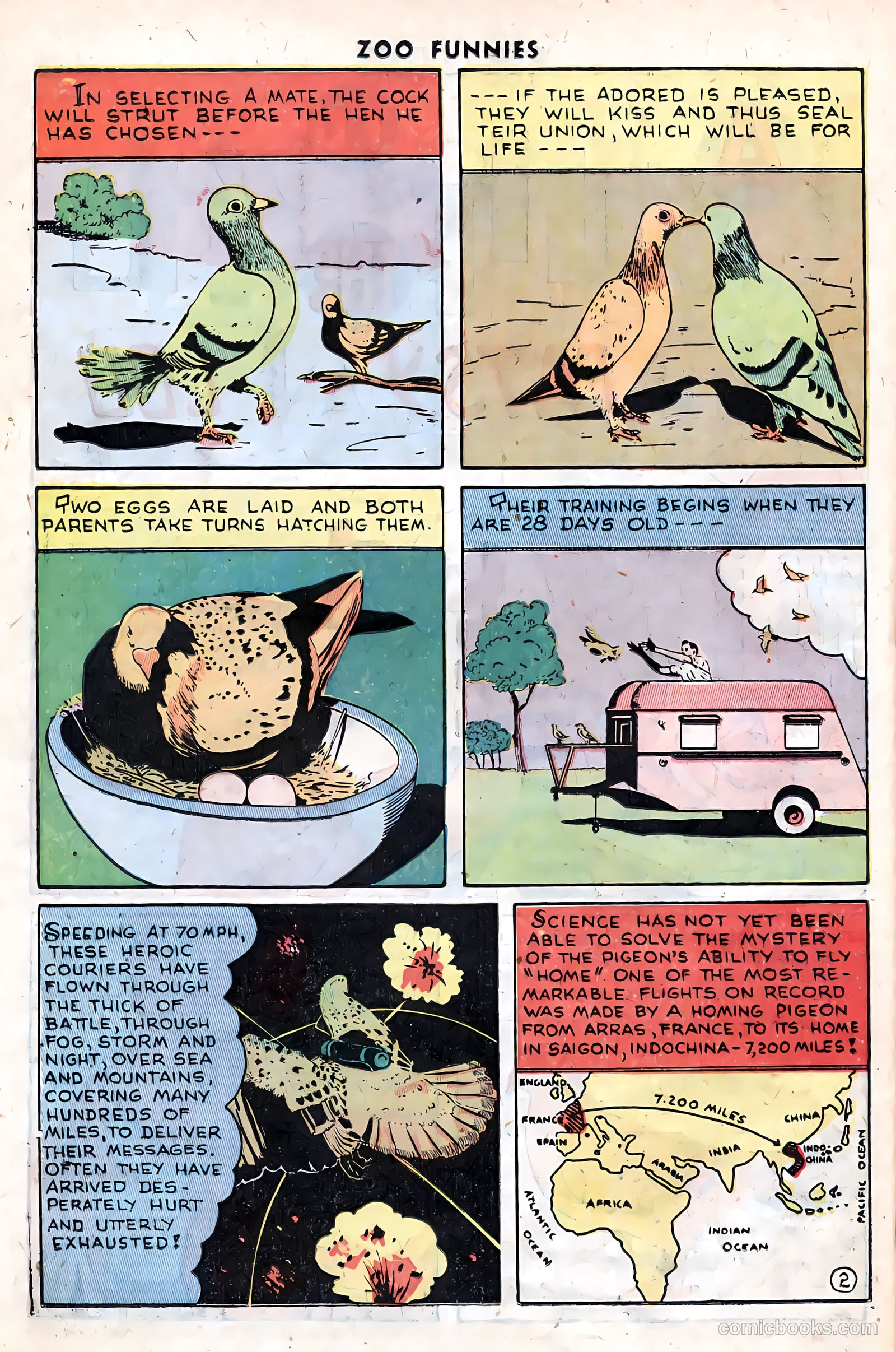 Zoo Funnies v1 #12 — page 26 of 36