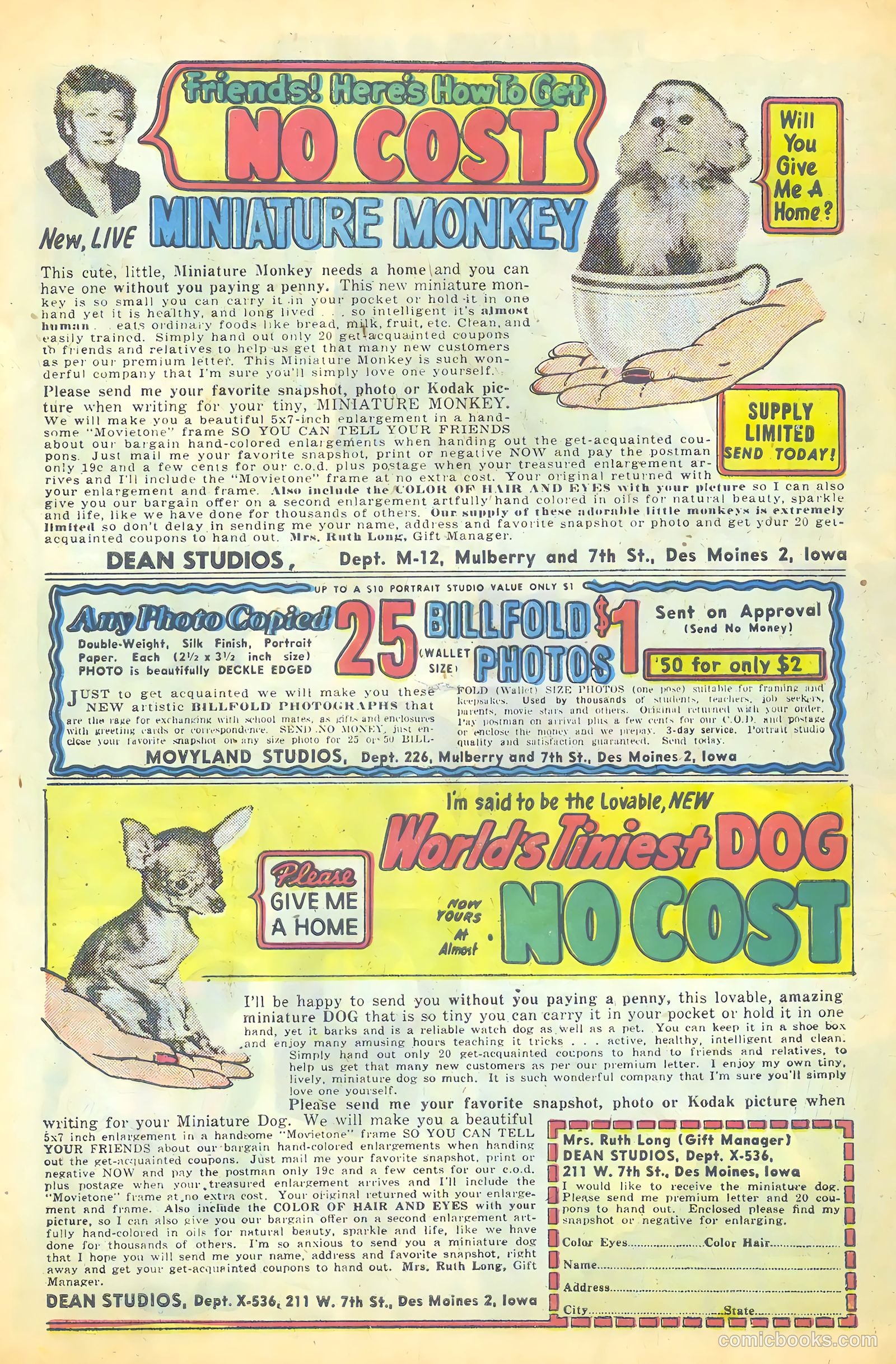 This Magazine Is Haunted v2 #14 — page 34 of 36