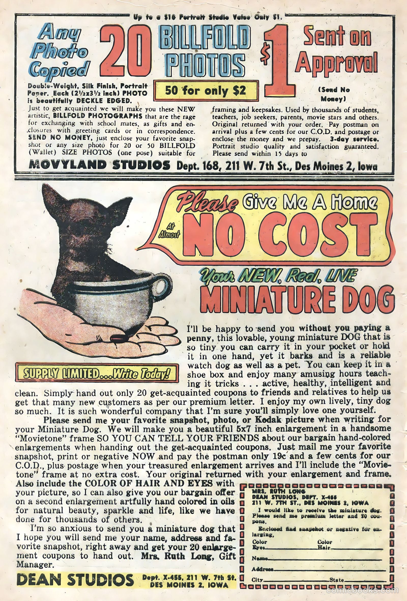 Soldier and Marine Comics #16 (1954) — page 34 of 36