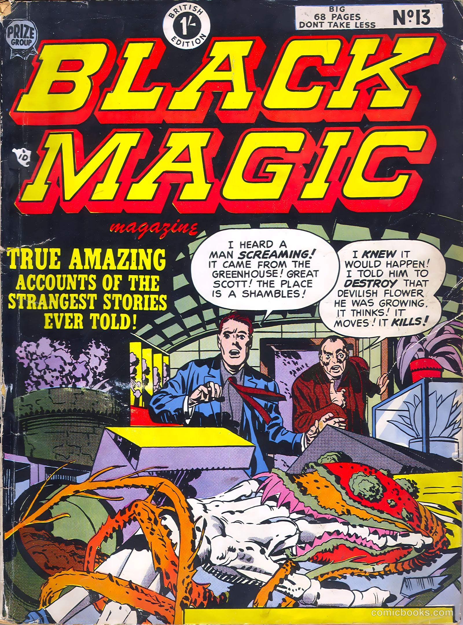 Black Magic #13