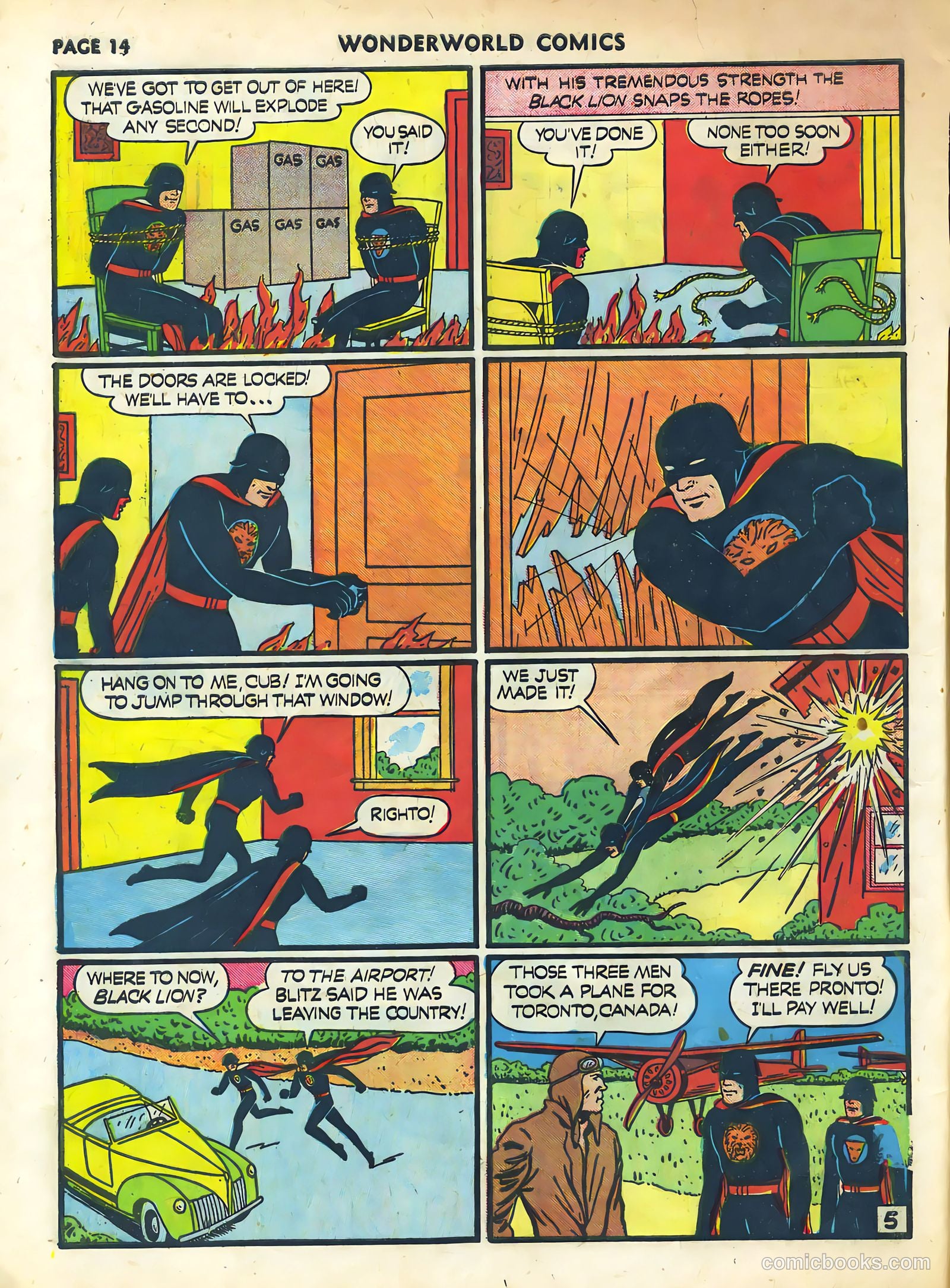 black lion #nn — page 25 of 64