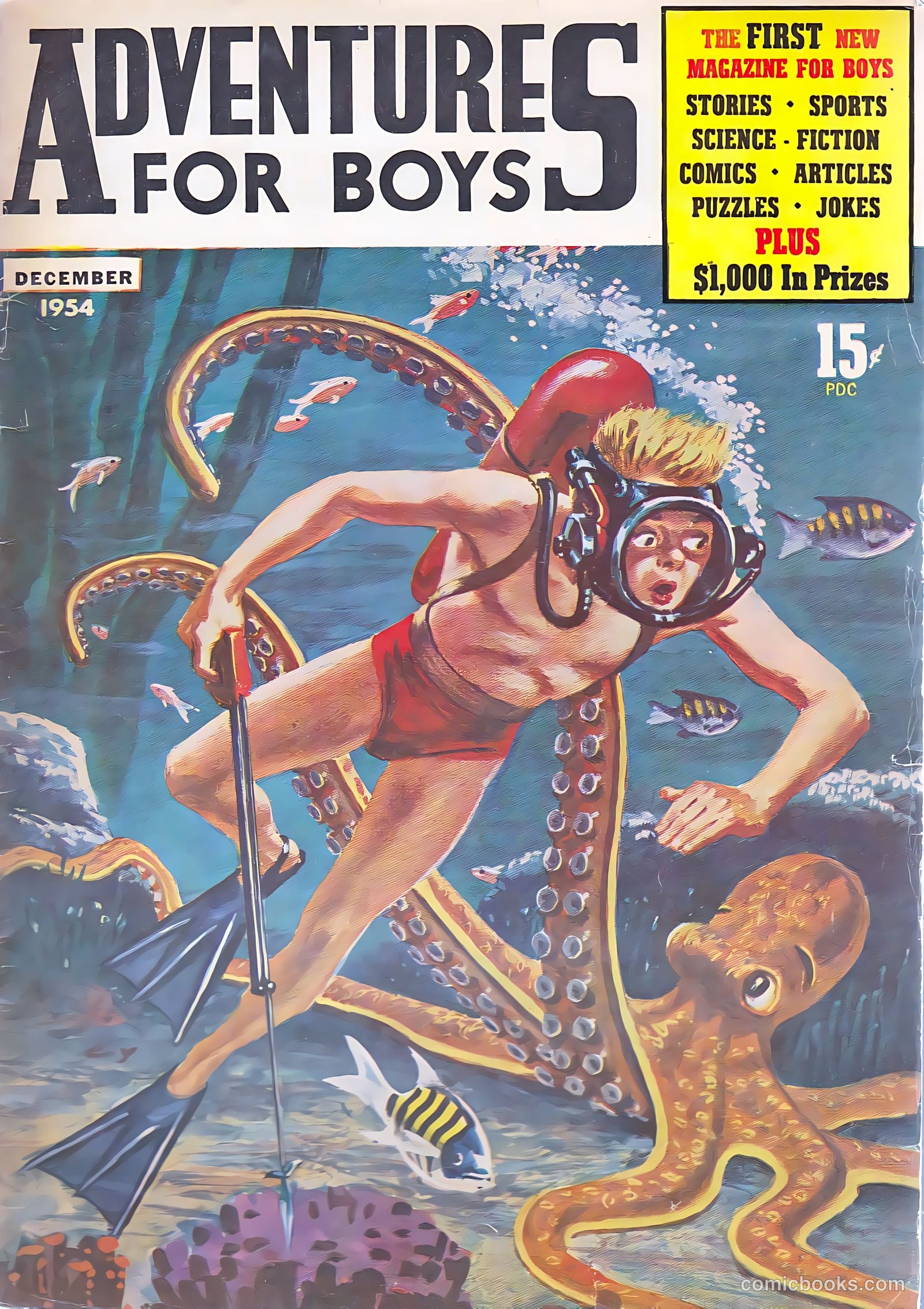 Adventures for Boys