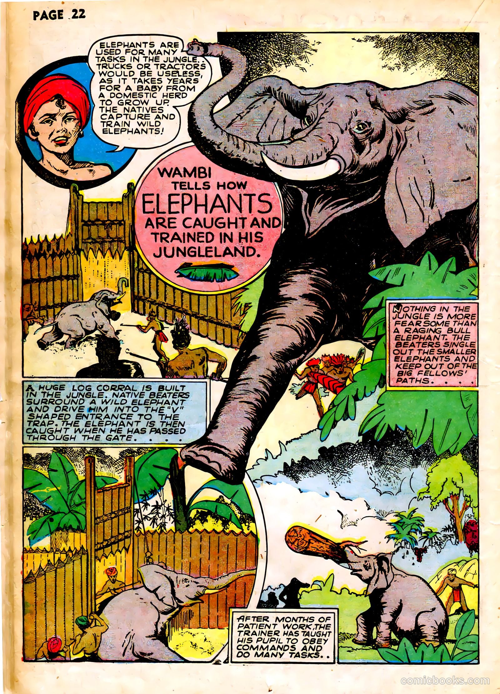 Wambi #1 (1958) — page 25 of 69