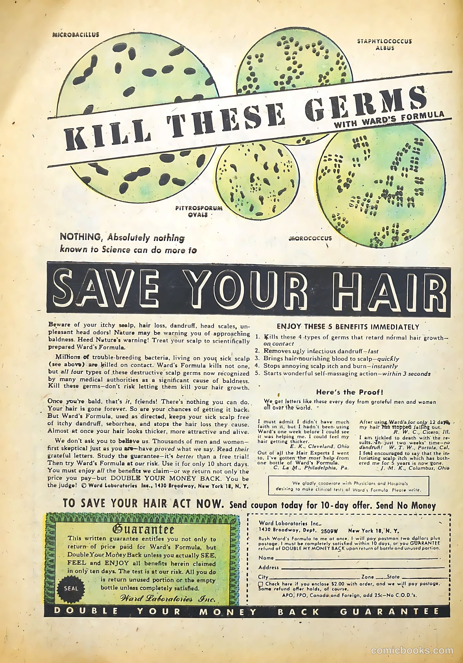 Headline Comics #55 (1949) — page 34 of 36