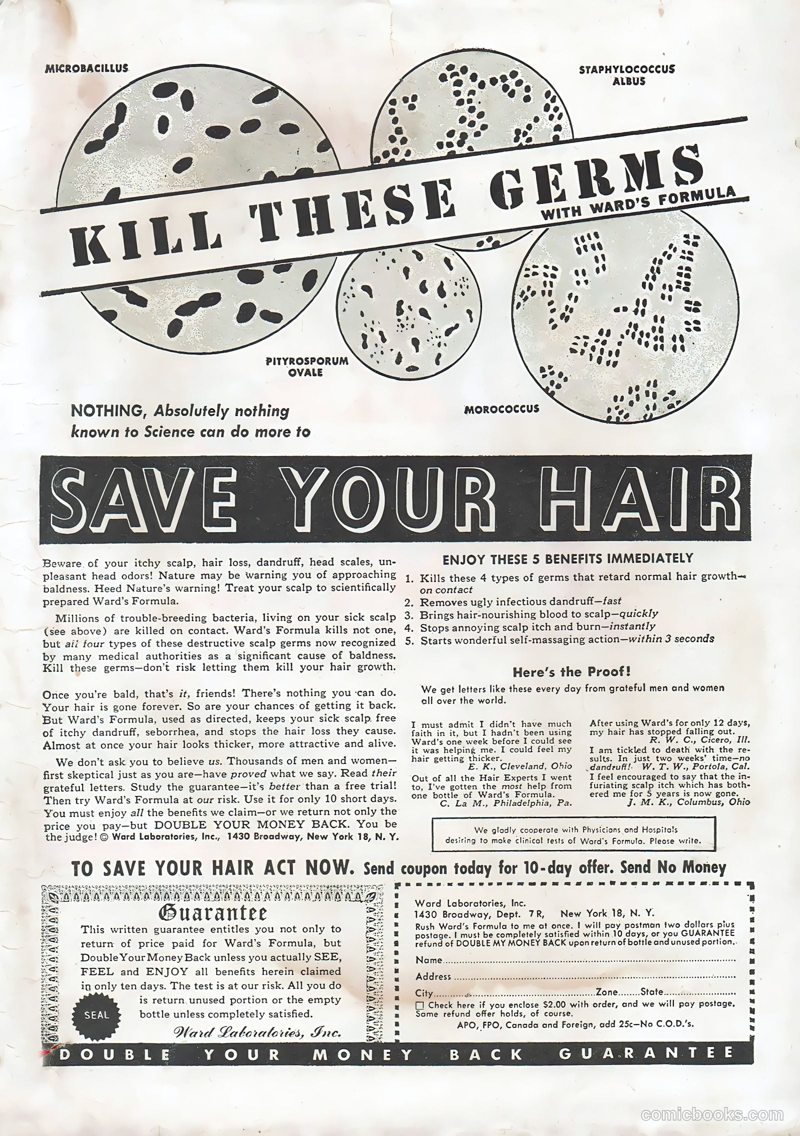 Hollywood Film Stories #4 (1950) — page 51 of 52