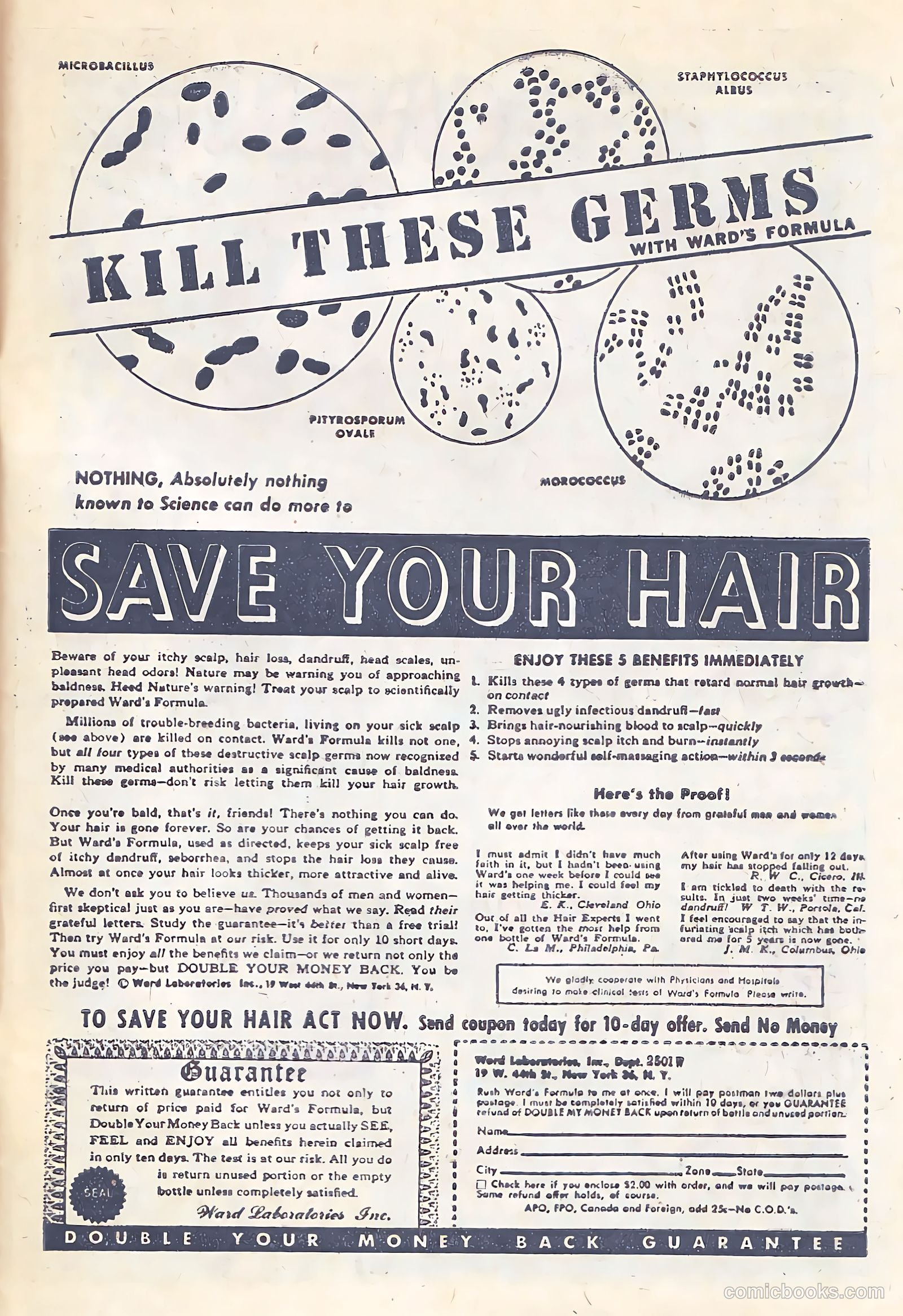 Headline Comics #69 (1949) — page 33 of 36