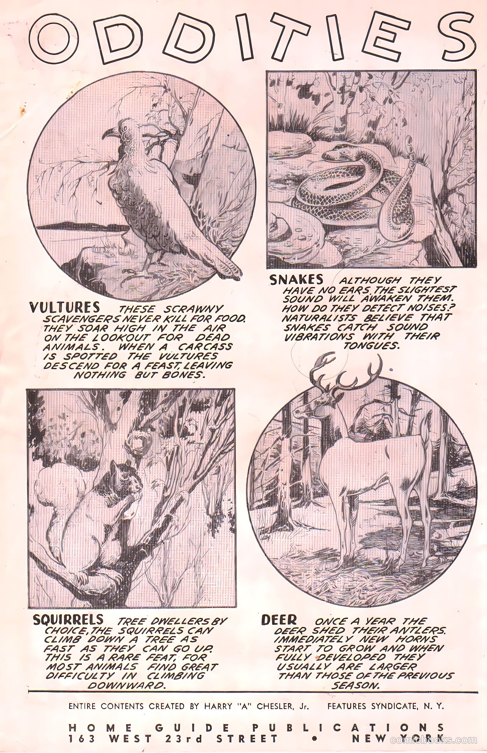 Skyrocket Comics #1 (1944) — page 2 of 53
