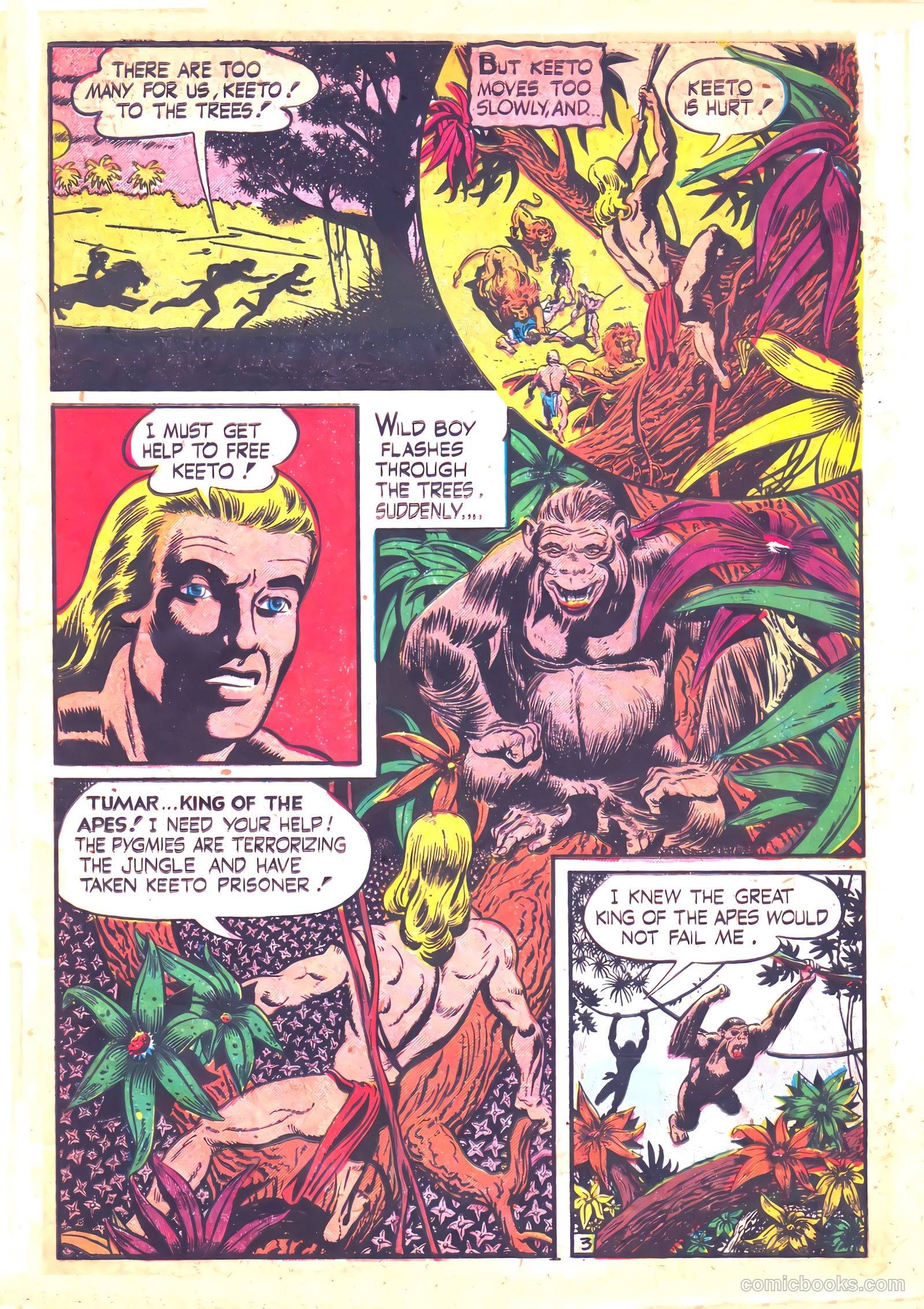 Wild Boy #3 (2014) — page 5 of 36