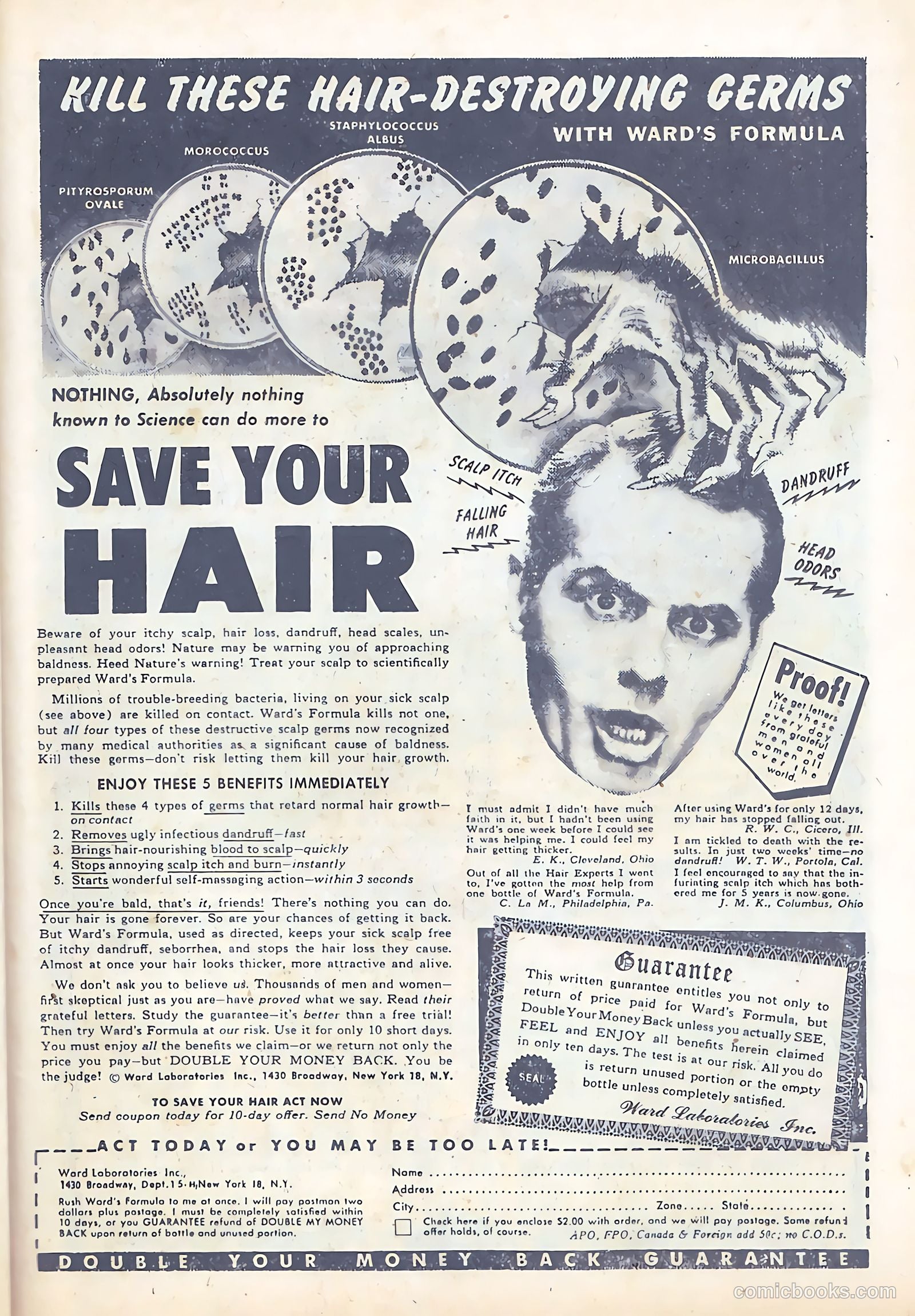 Headline Comics #48 (1949) — page 31 of 44