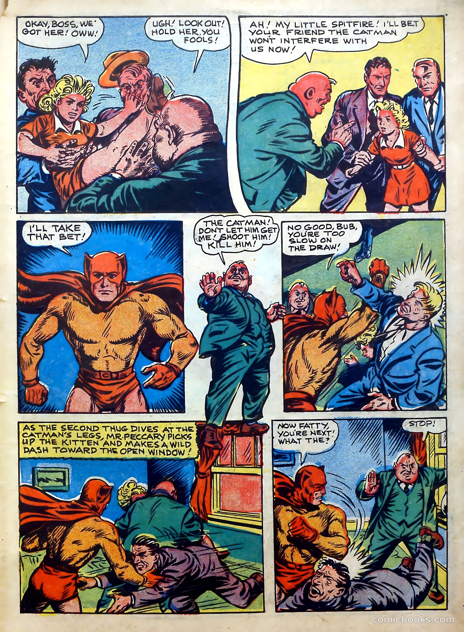 Cat-Man Comics #20 (1941) — page 11 of 60