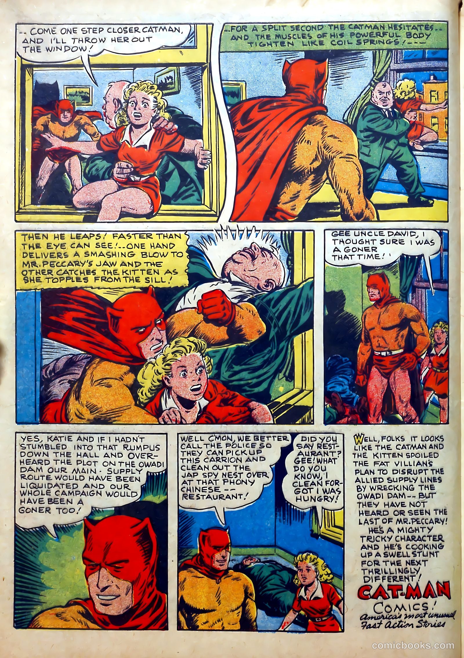 Cat-Man Comics #20 (1941) — page 12 of 60