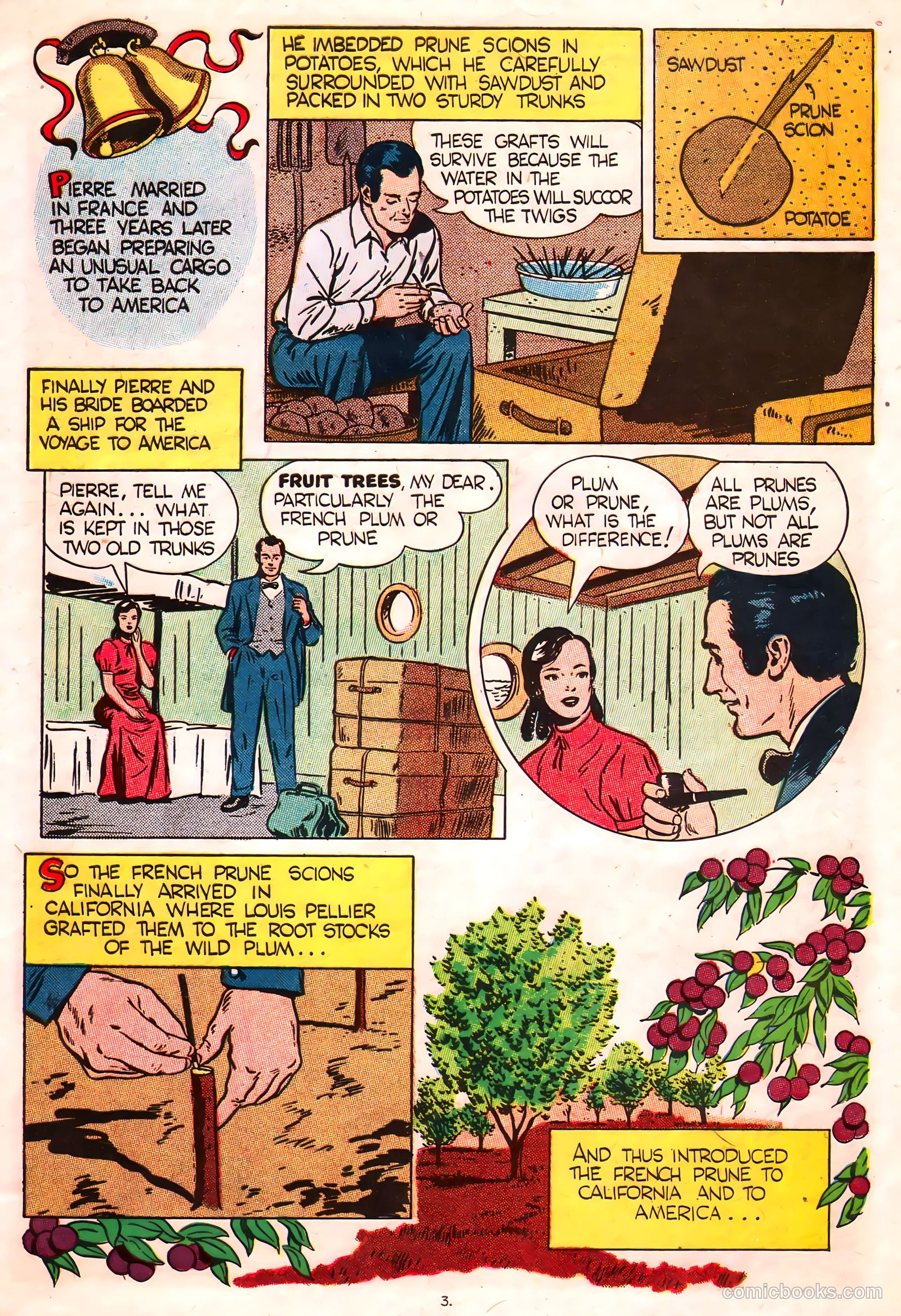 A Fortune in Two Old Trunks #nn (1947) — page 3 of 16