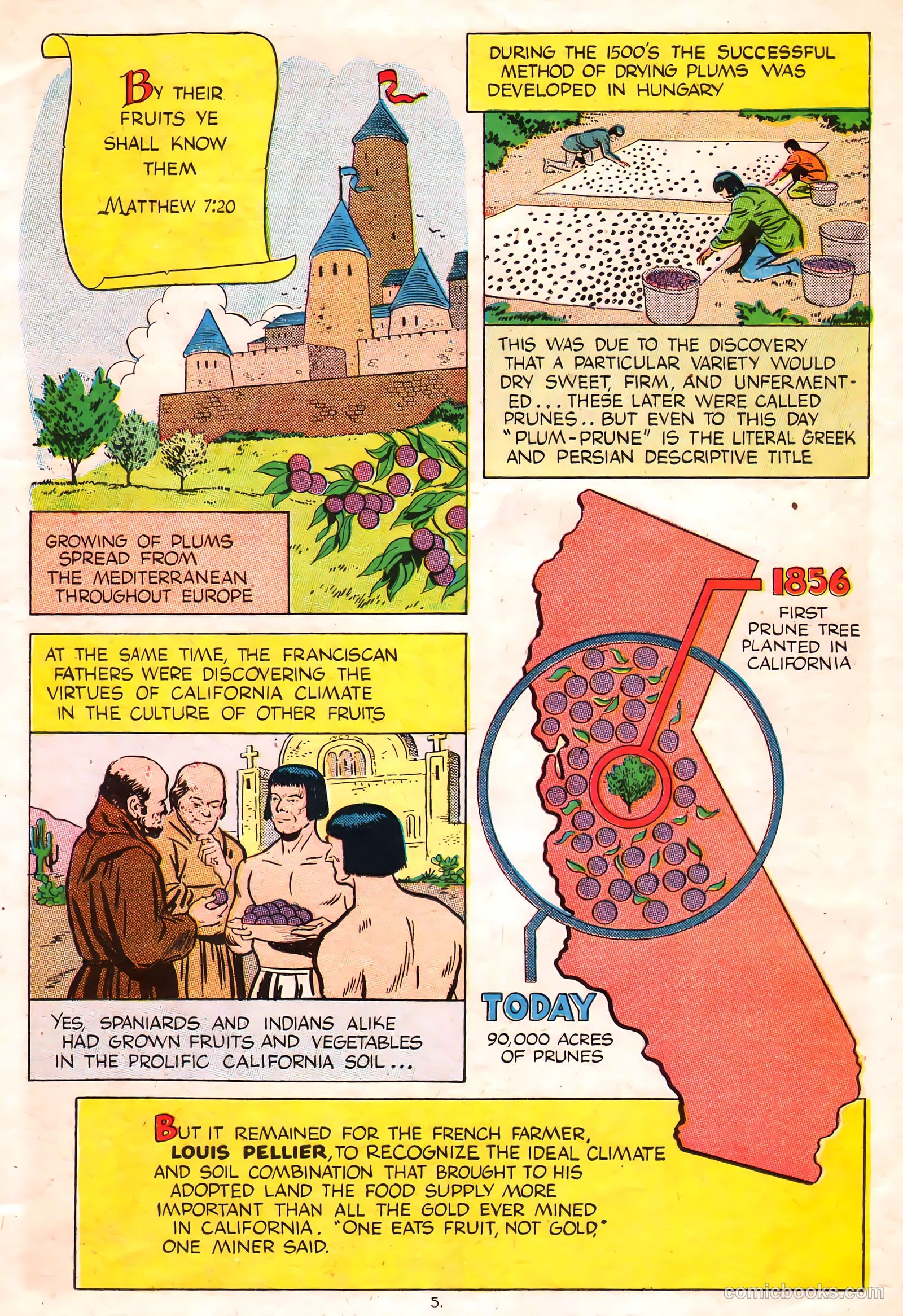 A Fortune in Two Old Trunks #nn (1947) — page 5 of 16