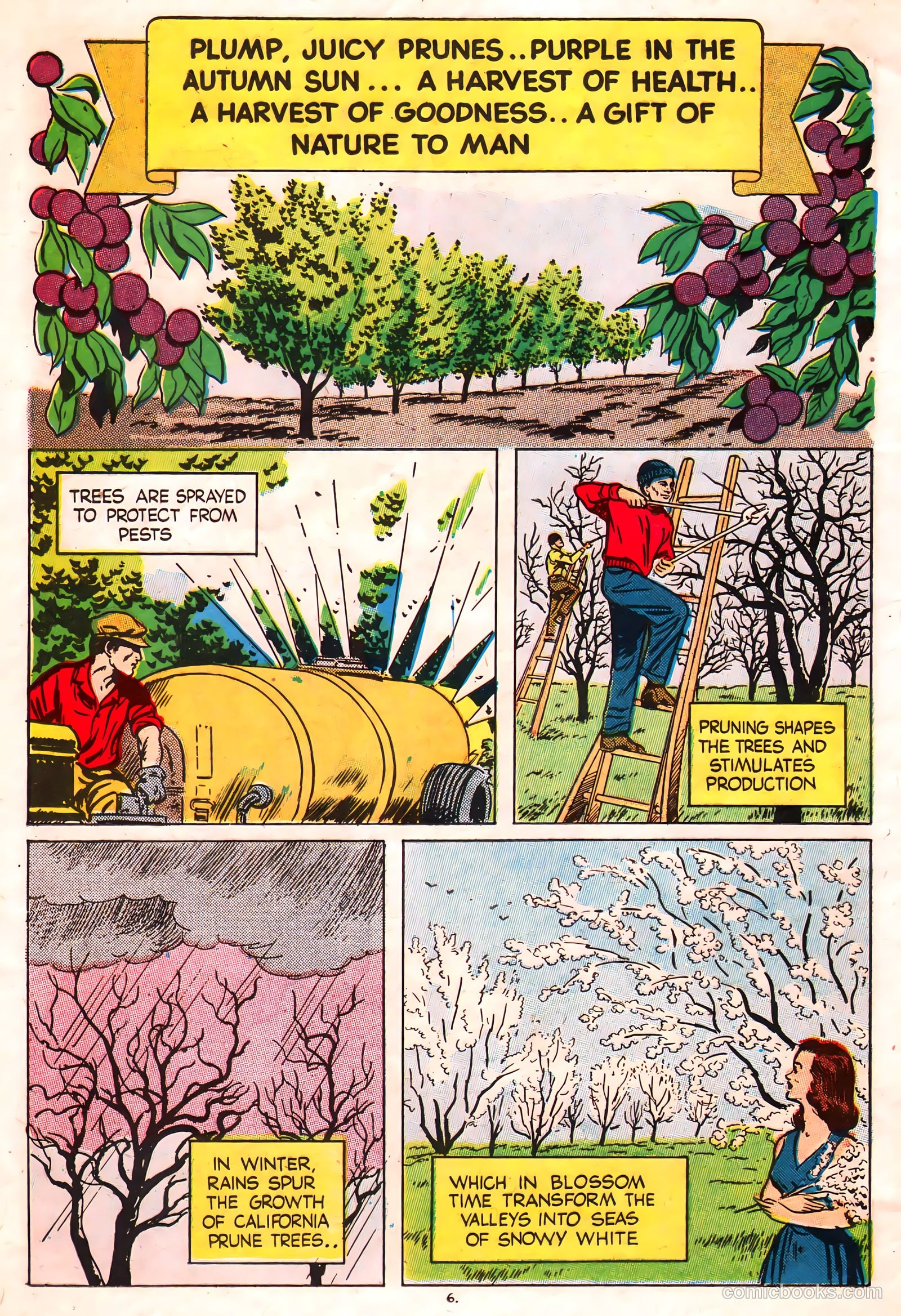 A Fortune in Two Old Trunks #nn (1947) — page 6 of 16