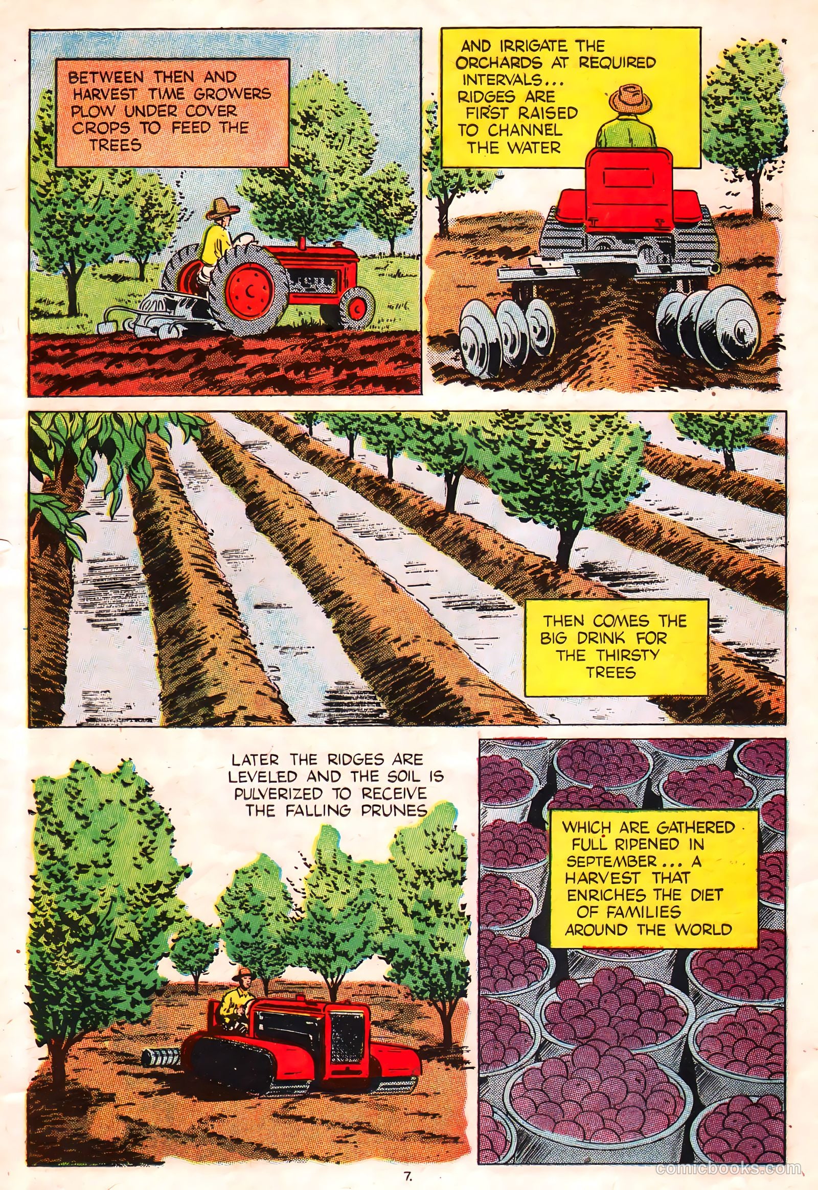 A Fortune in Two Old Trunks #nn (1947) — page 7 of 16