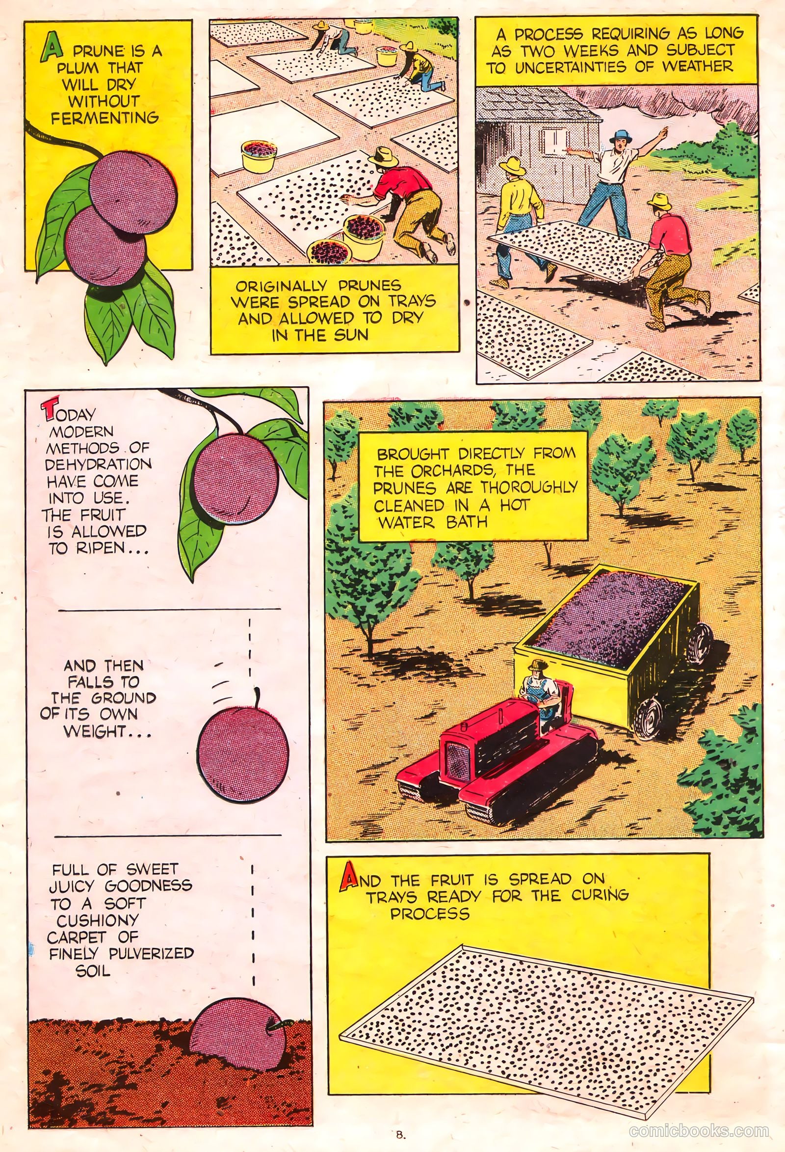 A Fortune in Two Old Trunks #nn (1947) — page 8 of 16