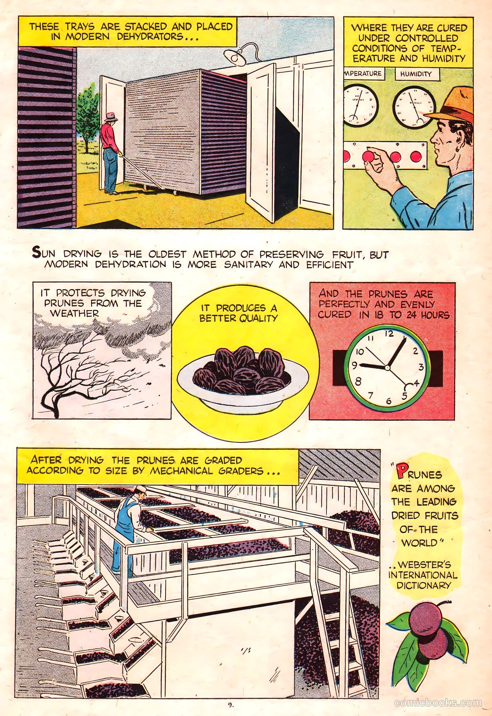 A Fortune in Two Old Trunks #nn (1947) — page 9 of 16
