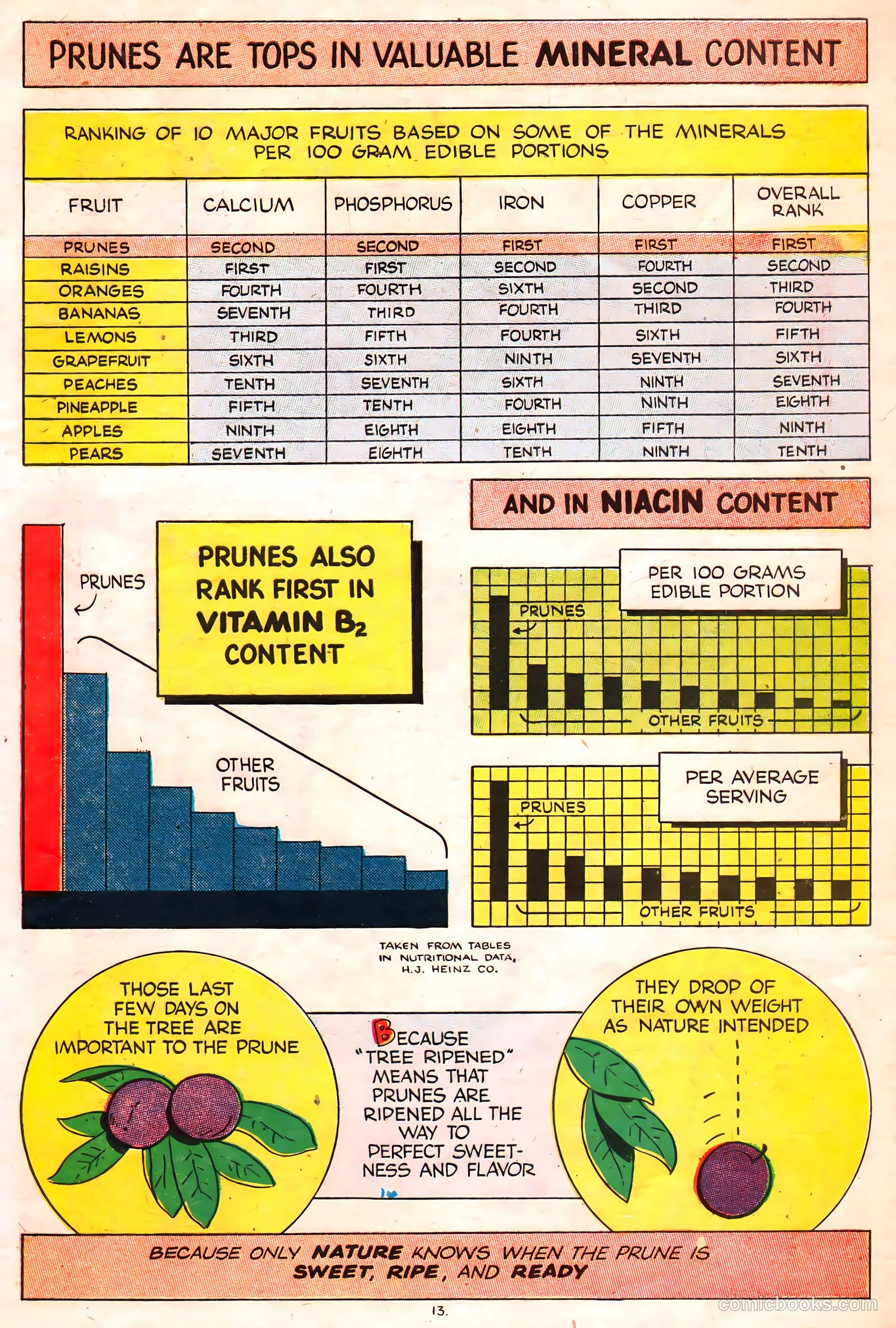 A Fortune in Two Old Trunks #nn (1947) — page 13 of 16