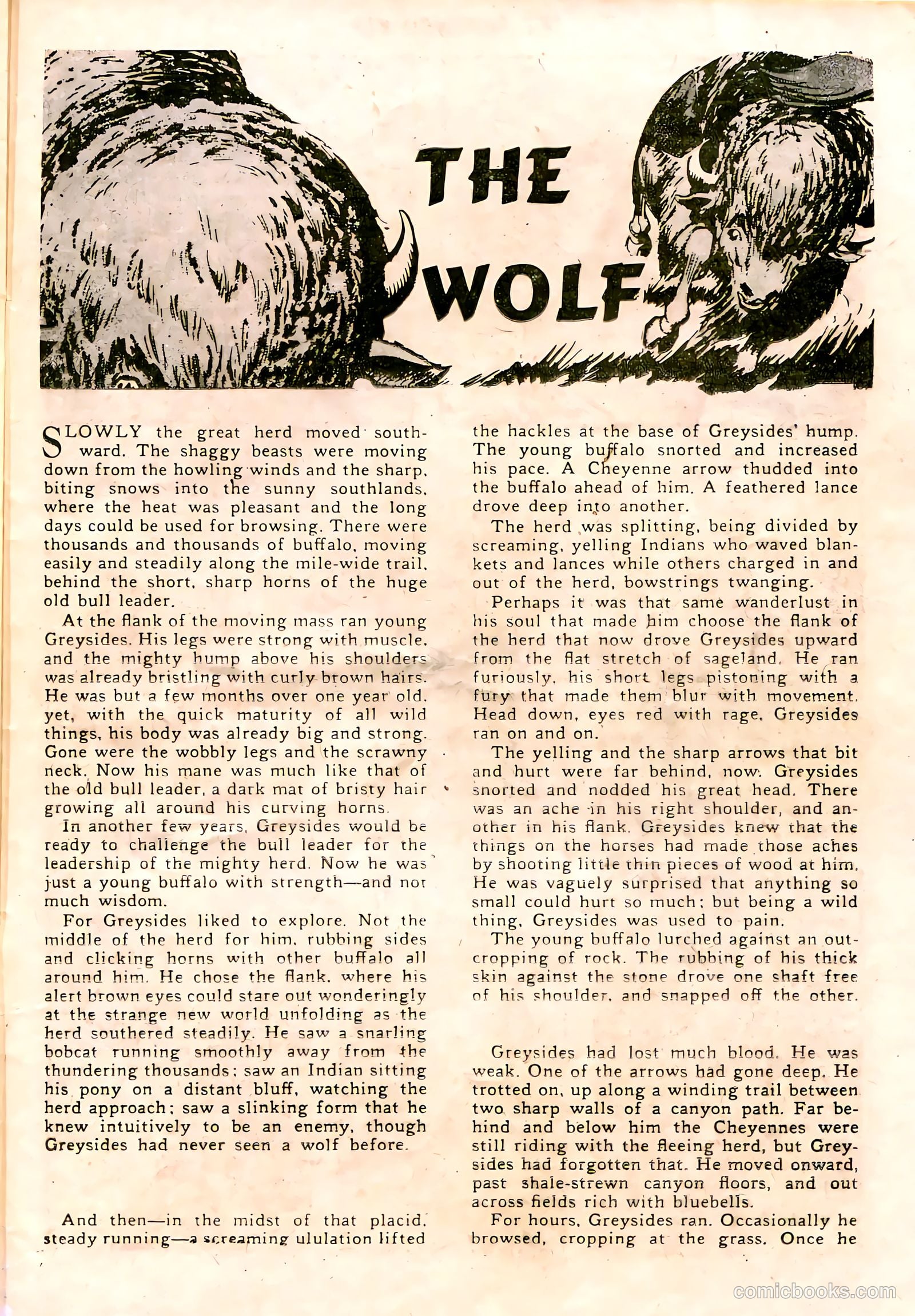 Durango Kid #19 (1955) — page 23 of 36