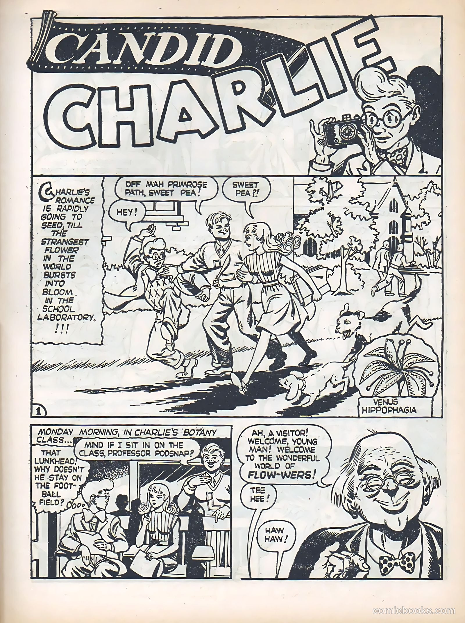 Blue Bolt #4 (1949) — page 29 of 36
