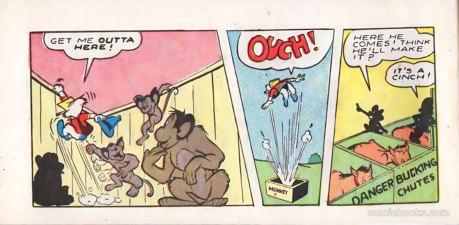Wonder Duck In Adventure At The Rodeo Of The Fearless Quacker #1 — page 18 of 24