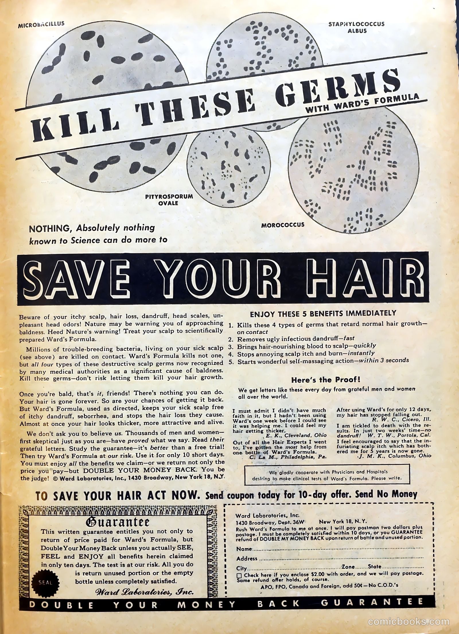 Real Clue Crime Stories v5 #2 — page 51 of 52