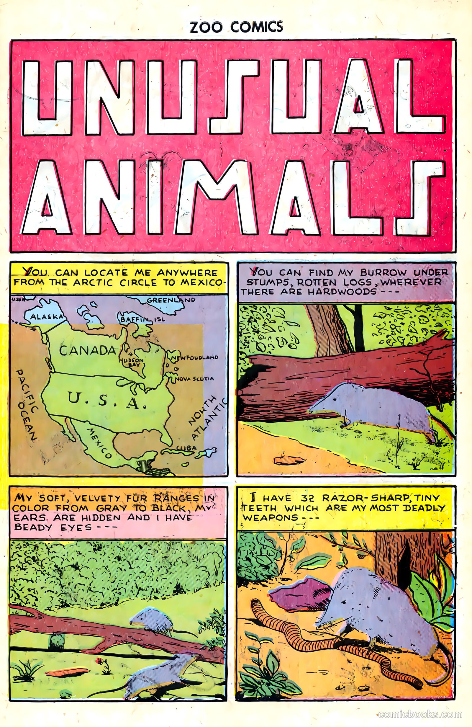 Zoo Funnies v1 #8 — page 41 of 52