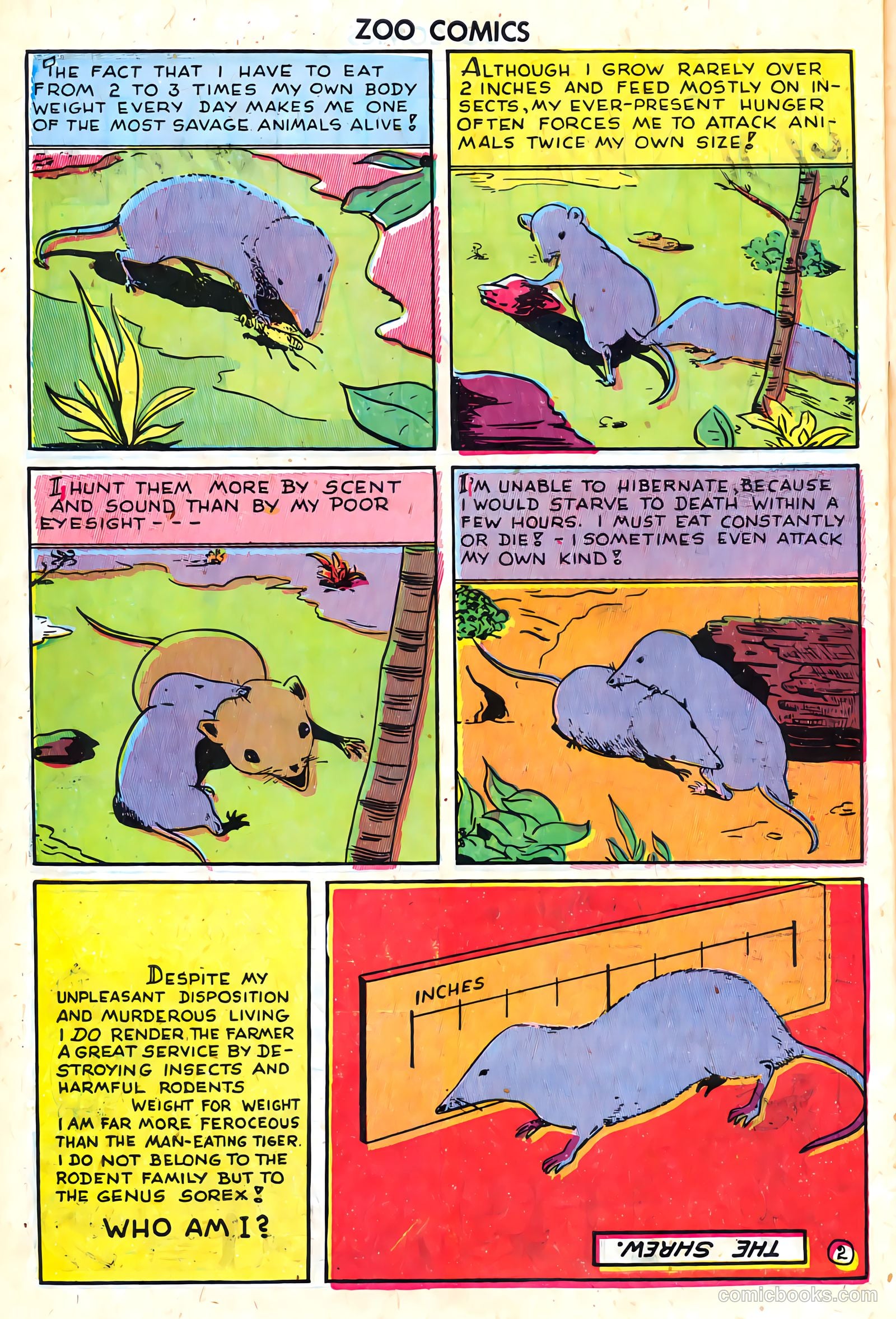 Zoo Funnies v1 #8 — page 42 of 52