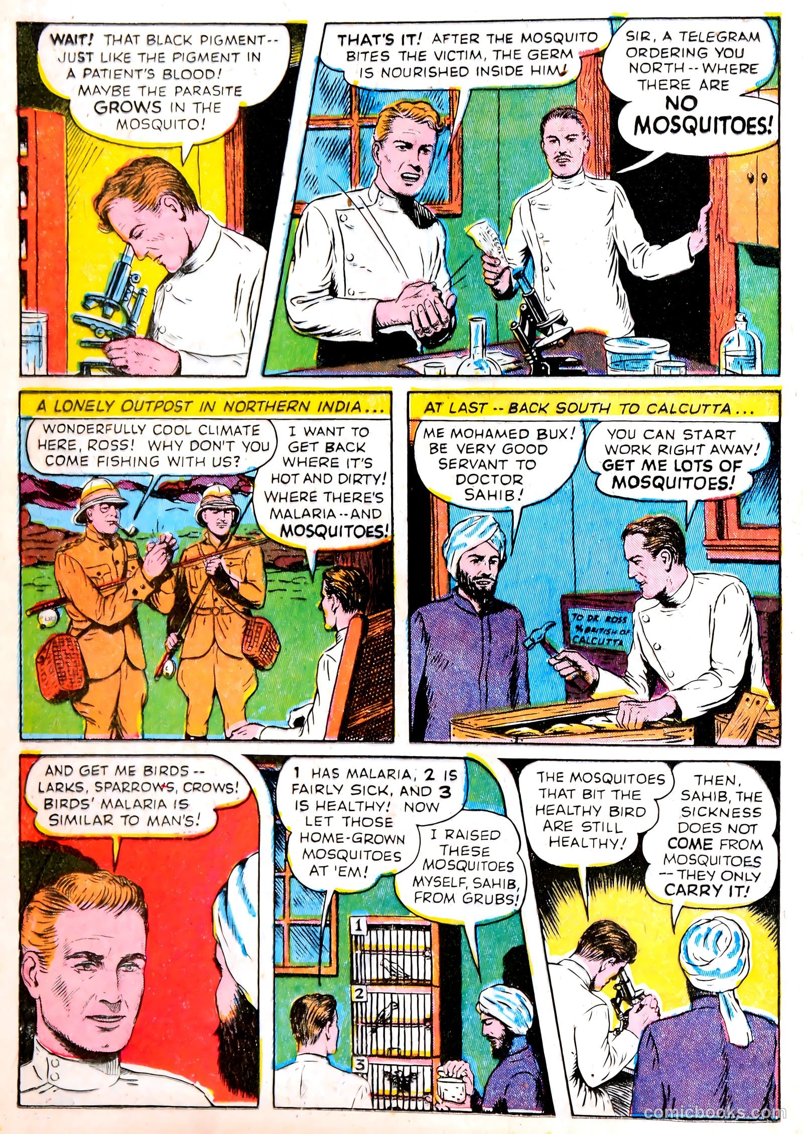 Real Life Comics #14 (1950) — page 36 of 60