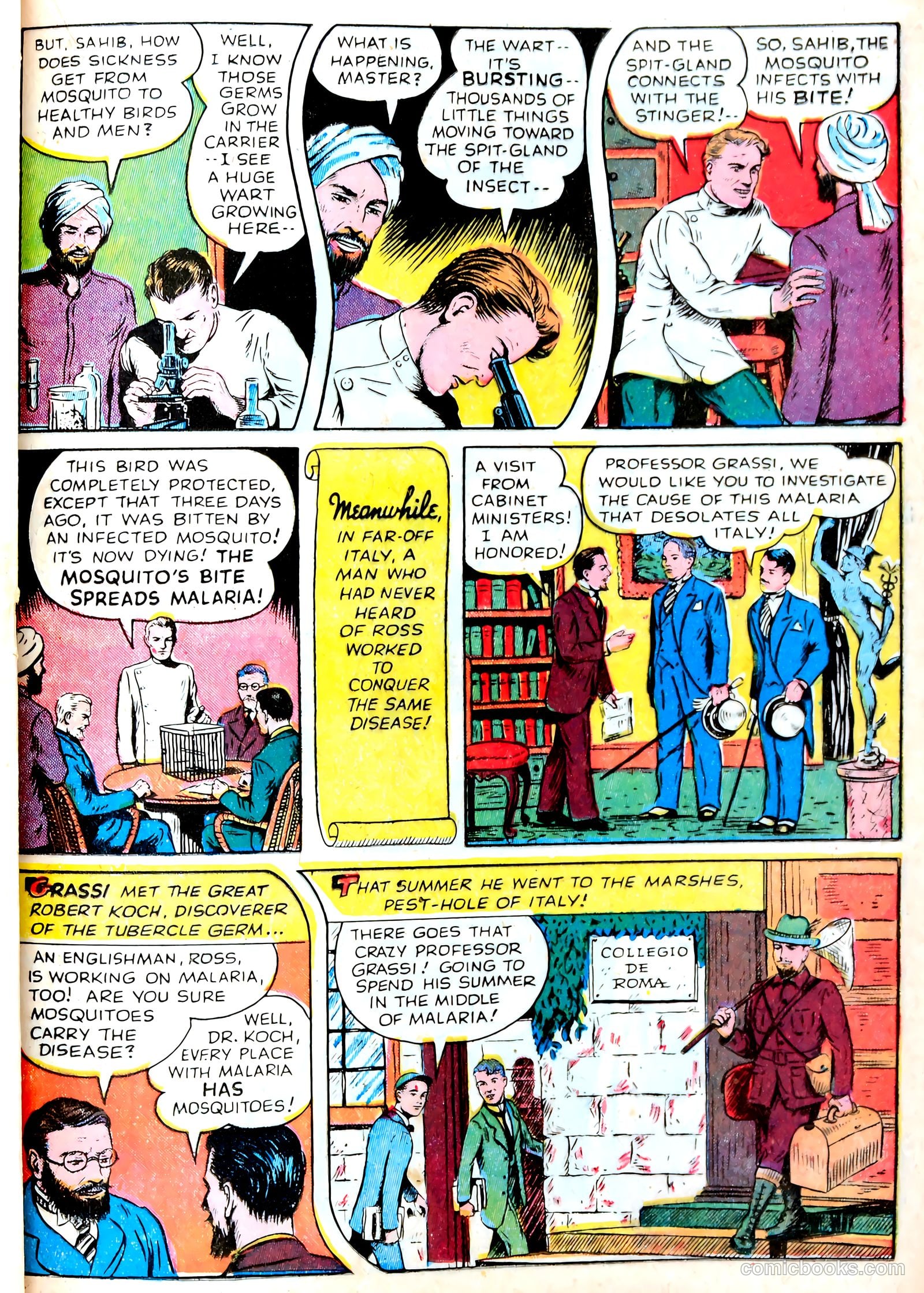Real Life Comics #14 (1950) — page 37 of 60