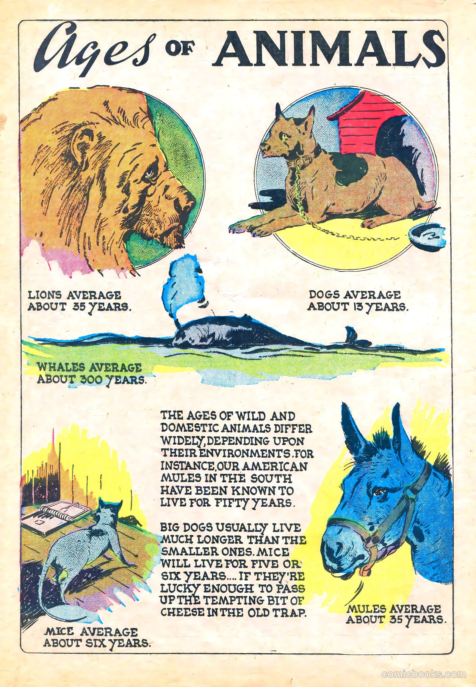 Funny Picture Stories v2 #5 — page 66 of 68