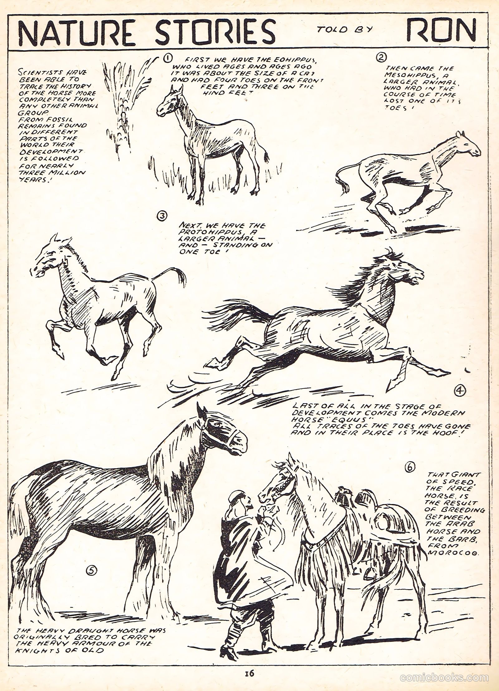 Cute Fun Album #1951 (1951) — page 8 of 44